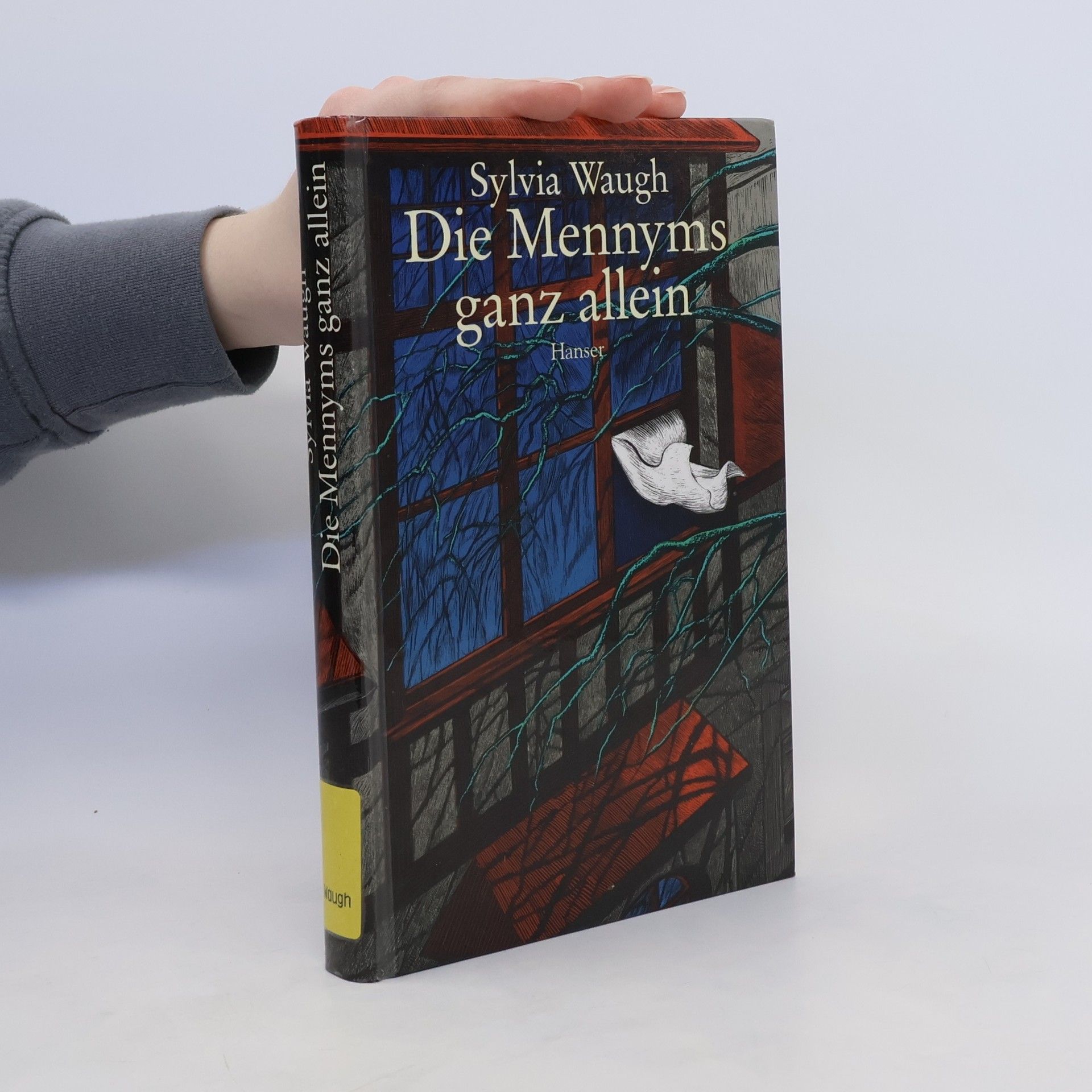 Cornelia Krutz-Arnold Die Mennyms ganz allein