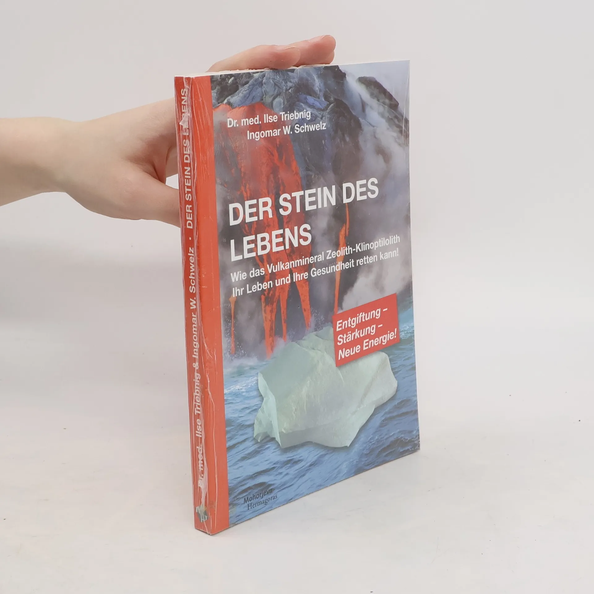 Der Stein des Lebens | Book | Ilse Triebnig | DE