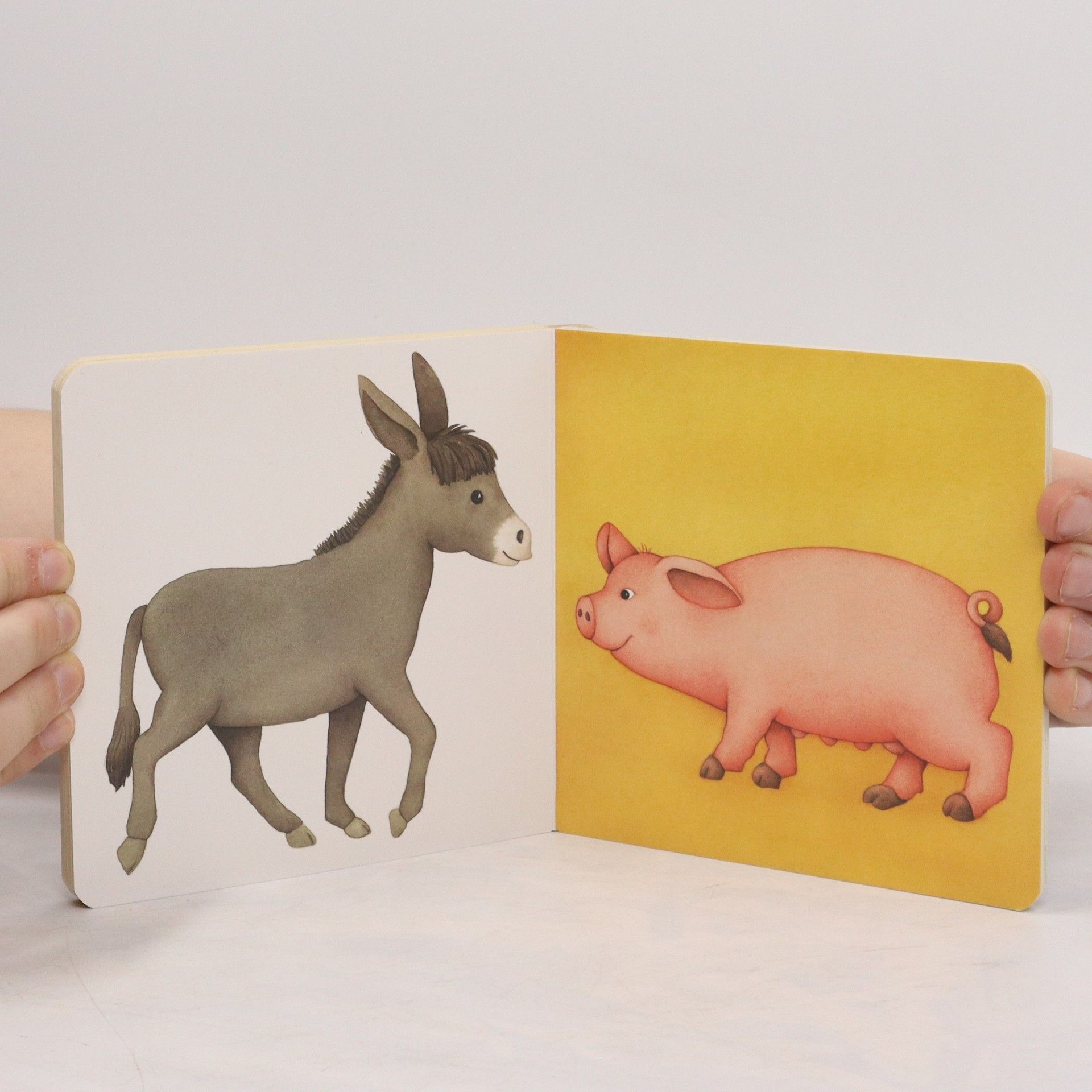 Monika Neubacher Fesser Mein erstes Tierbuch