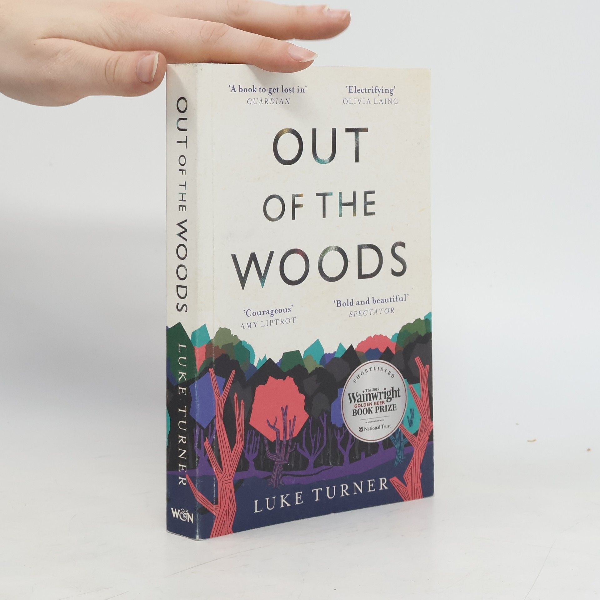 Nicholas J Turner Out of the Woods