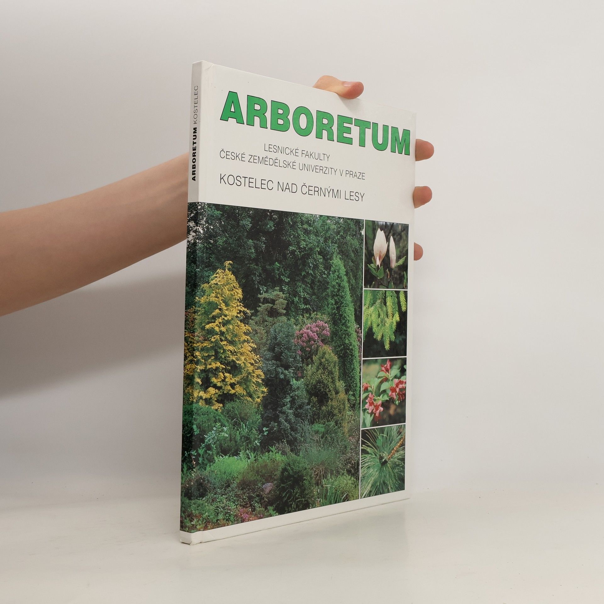 Ivan Roček Arboretum Lesnické fakulty České zemědělské univerzity.