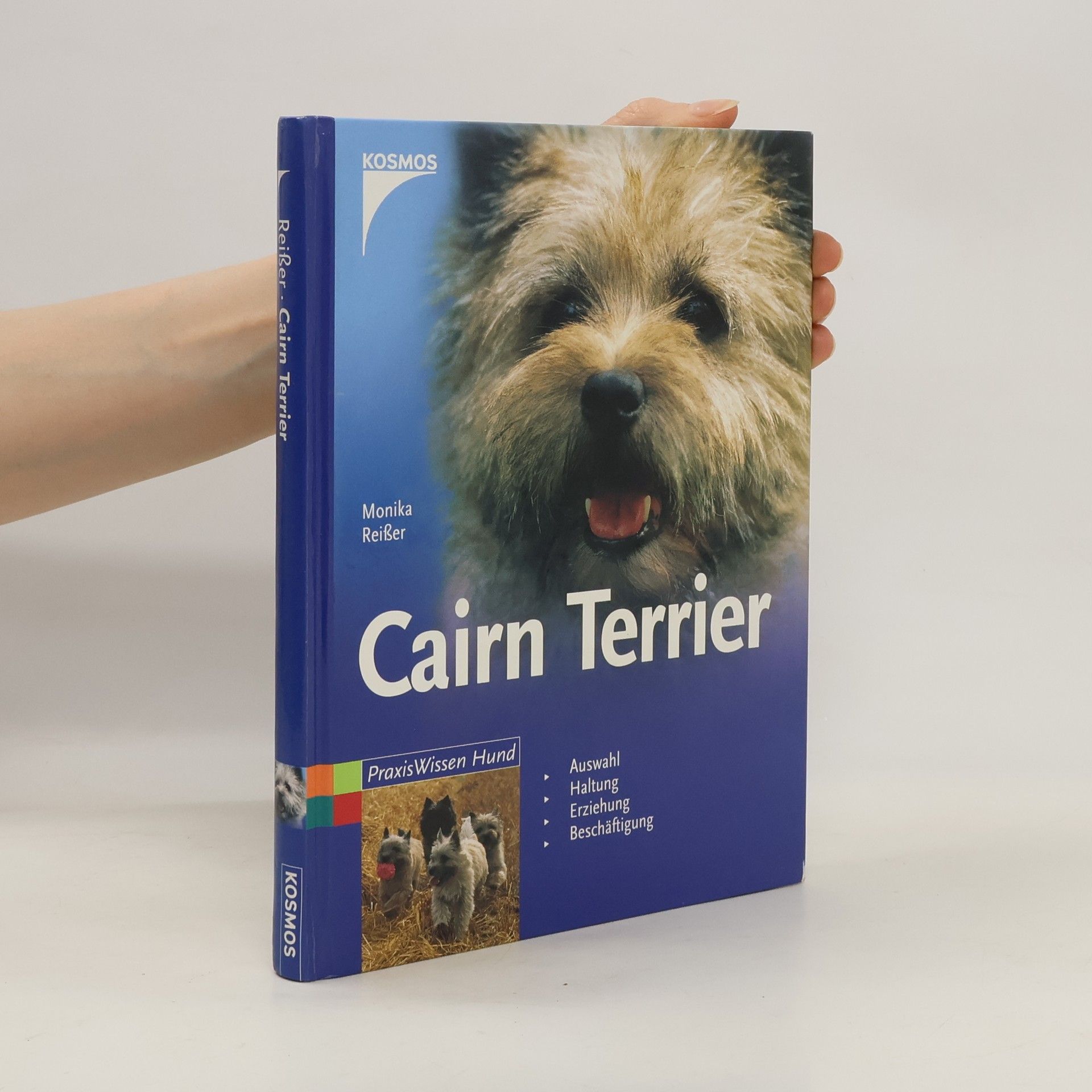 Monika Reißer Cairn-Terrier