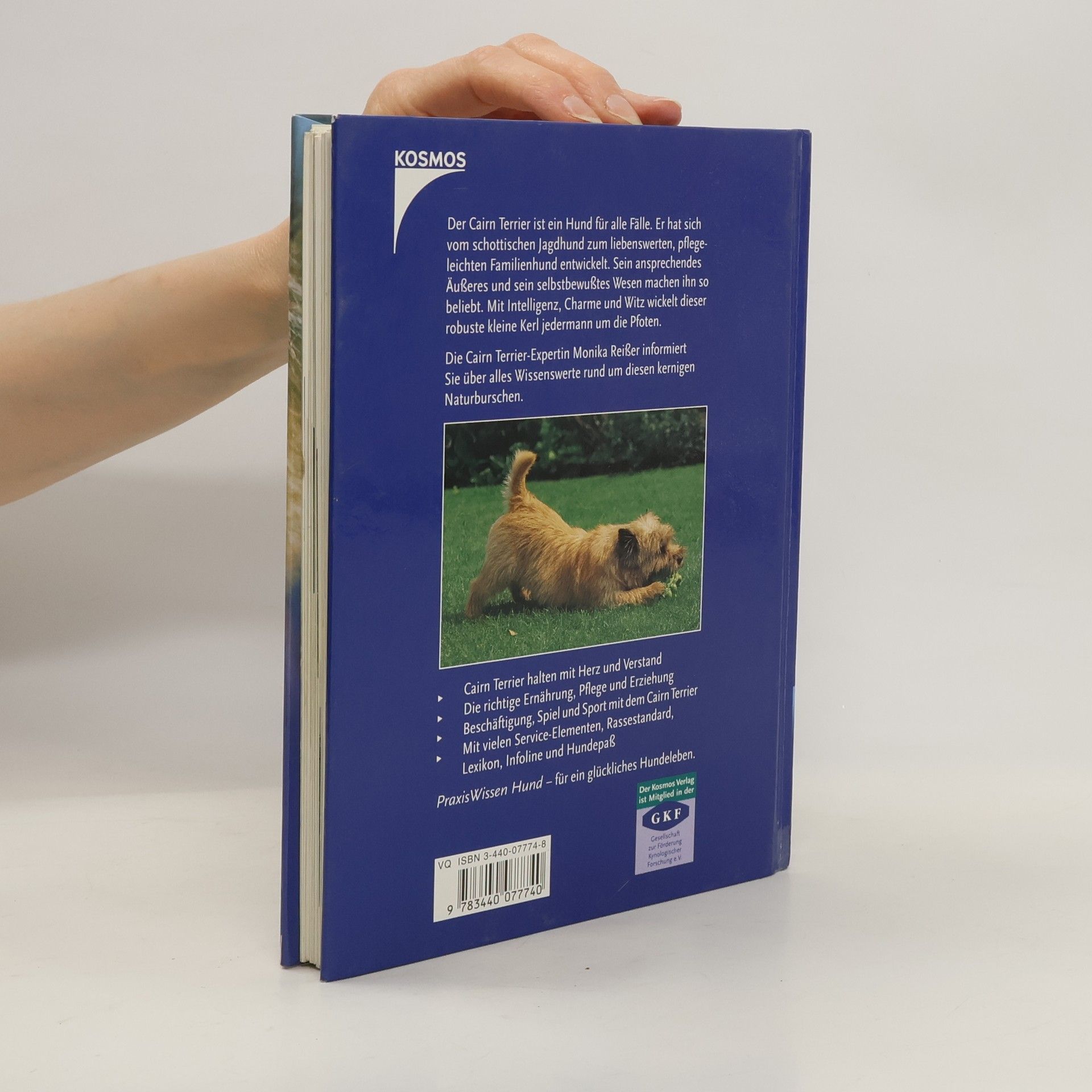Monika Reißer Cairn-Terrier