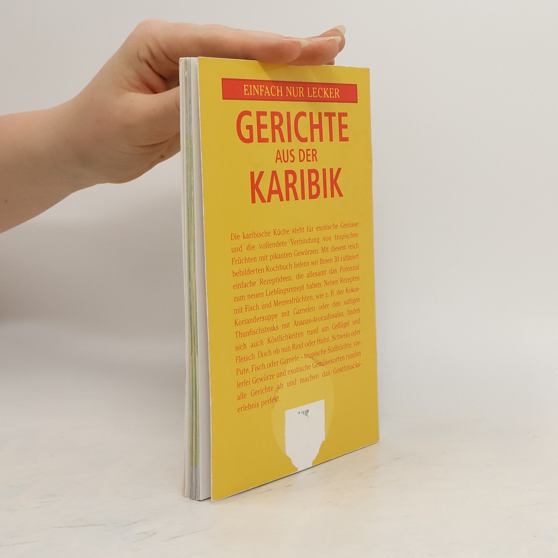 Kolektiv autorů Gerichte aus der Karibik