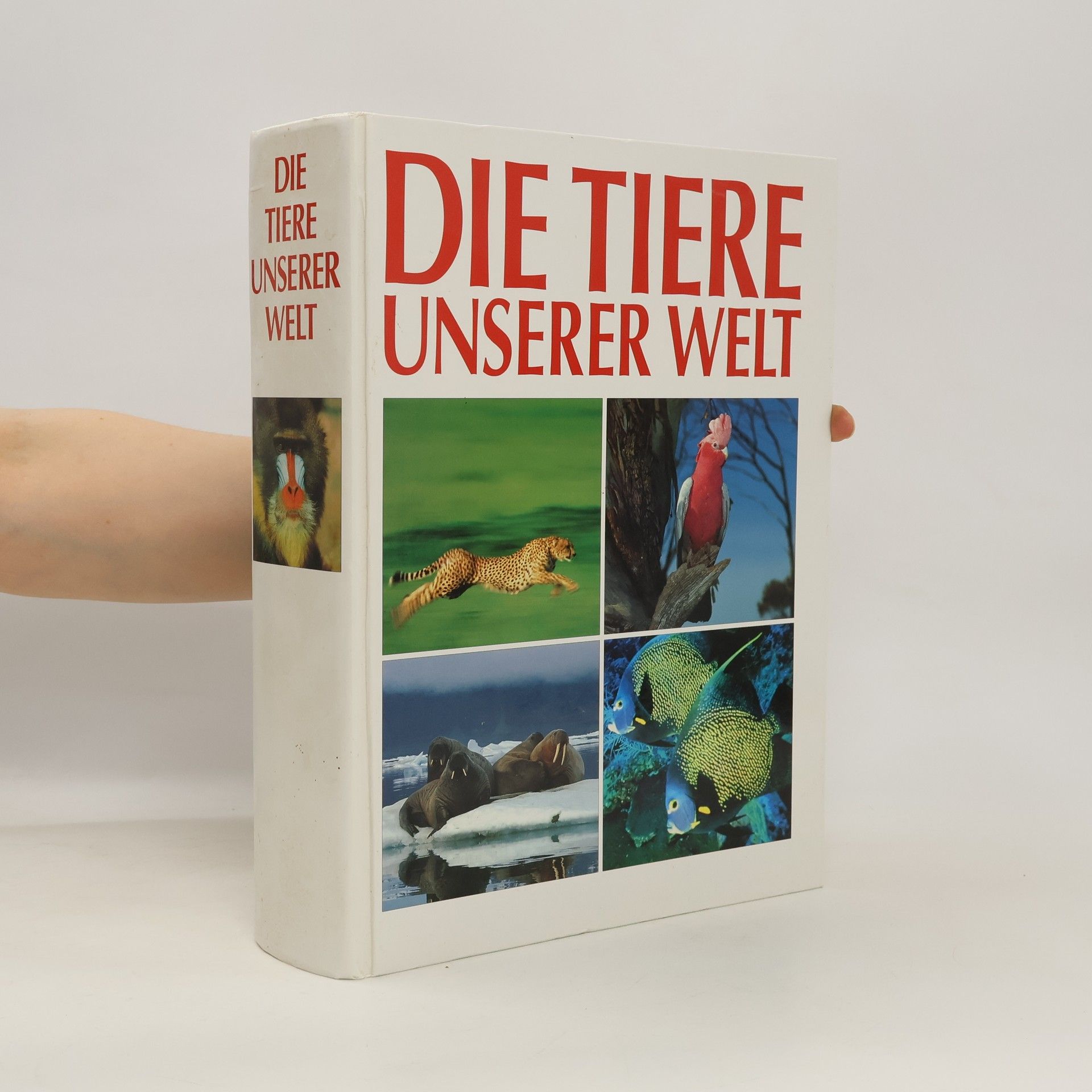 AA.VV. Die Tiere unserer Welt
