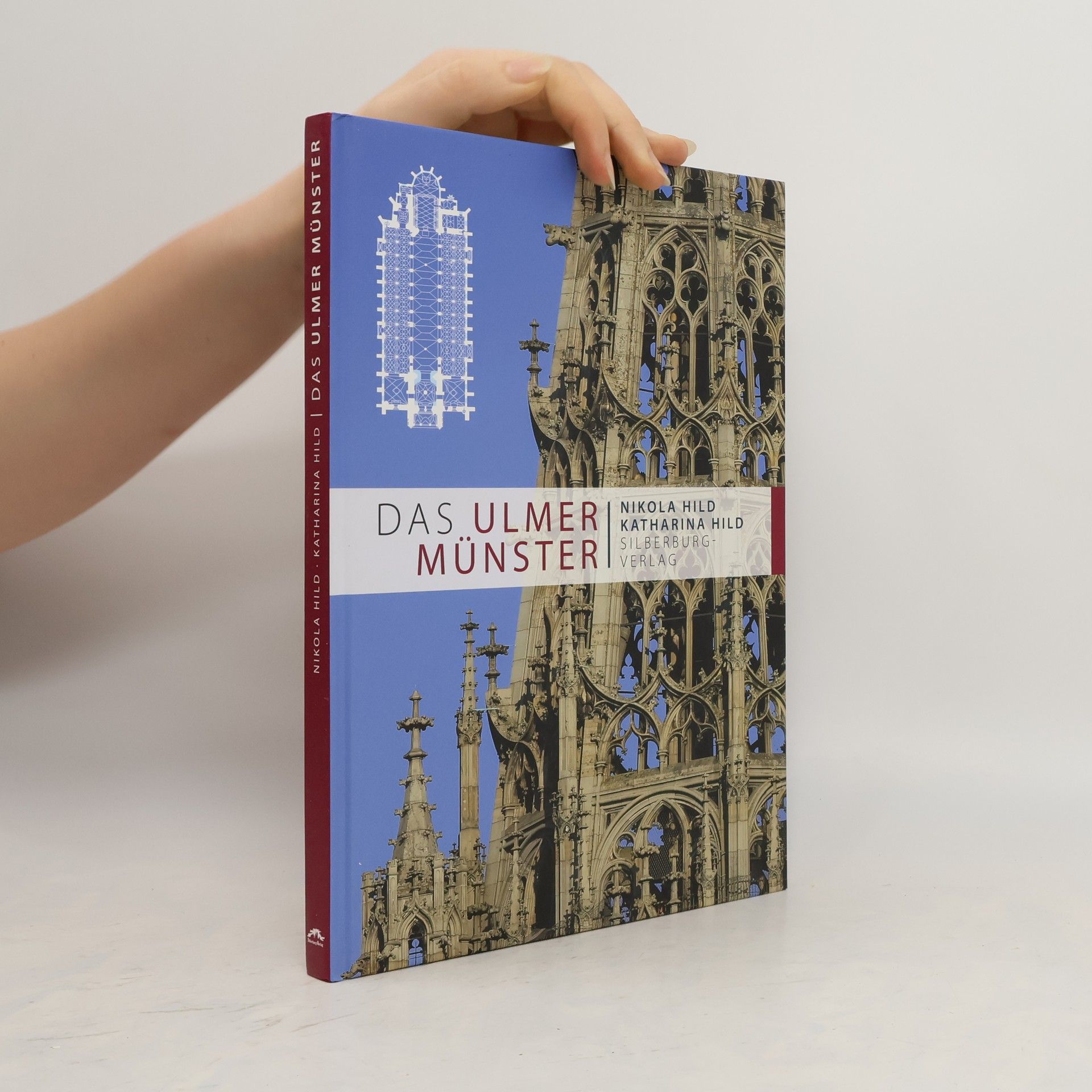 Nikola Hild Das Ulmer Münster