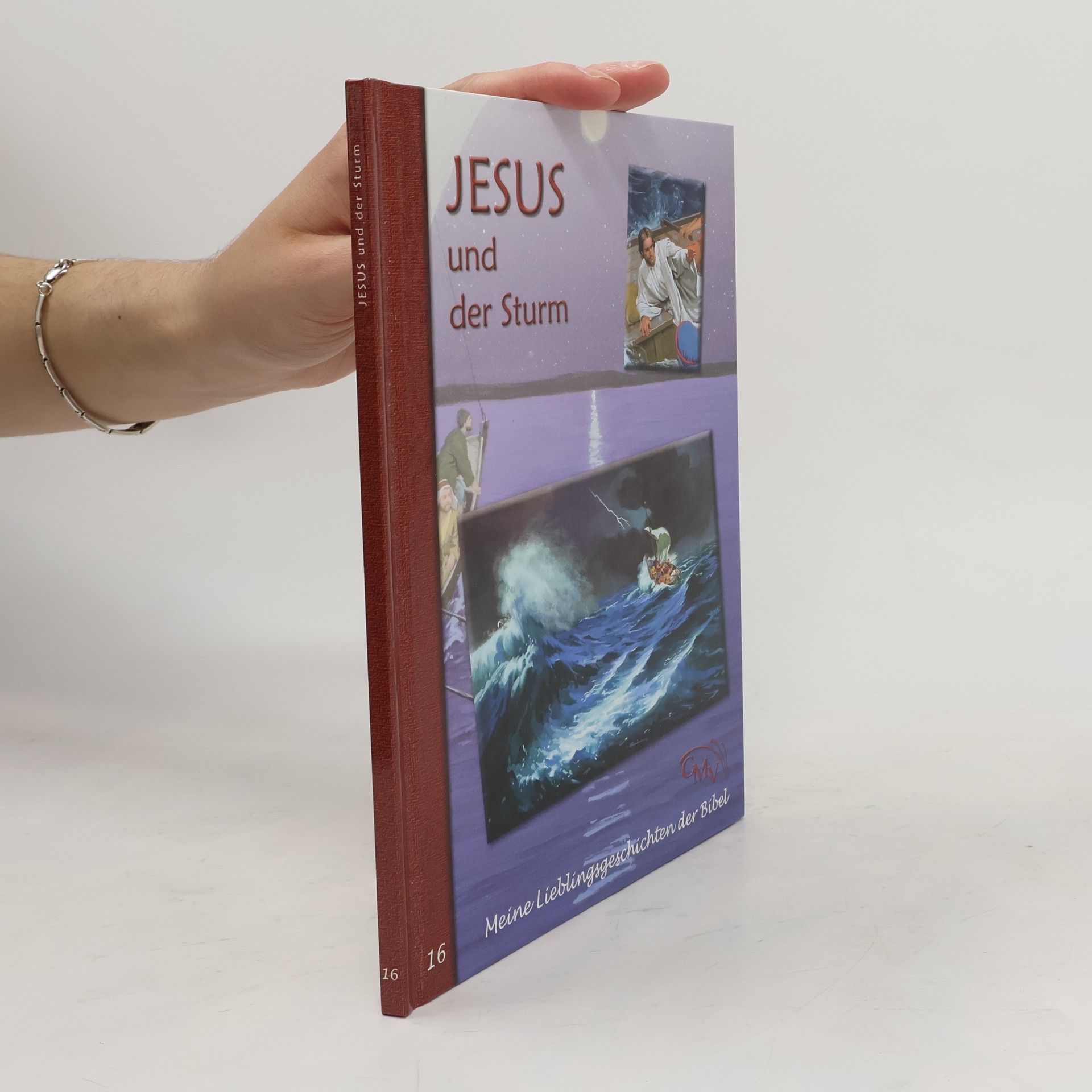 Robert L. Berran Jesus und der Sturm
