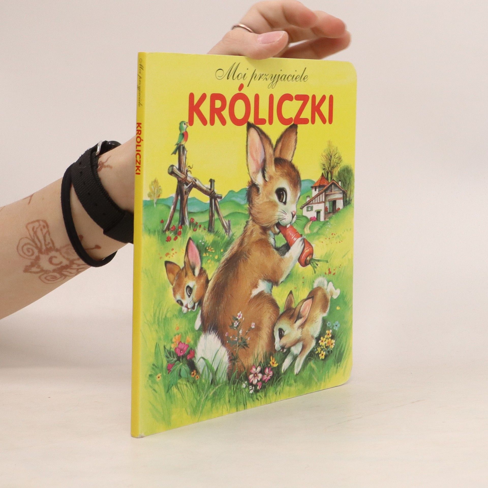 kolektiv Króliczki