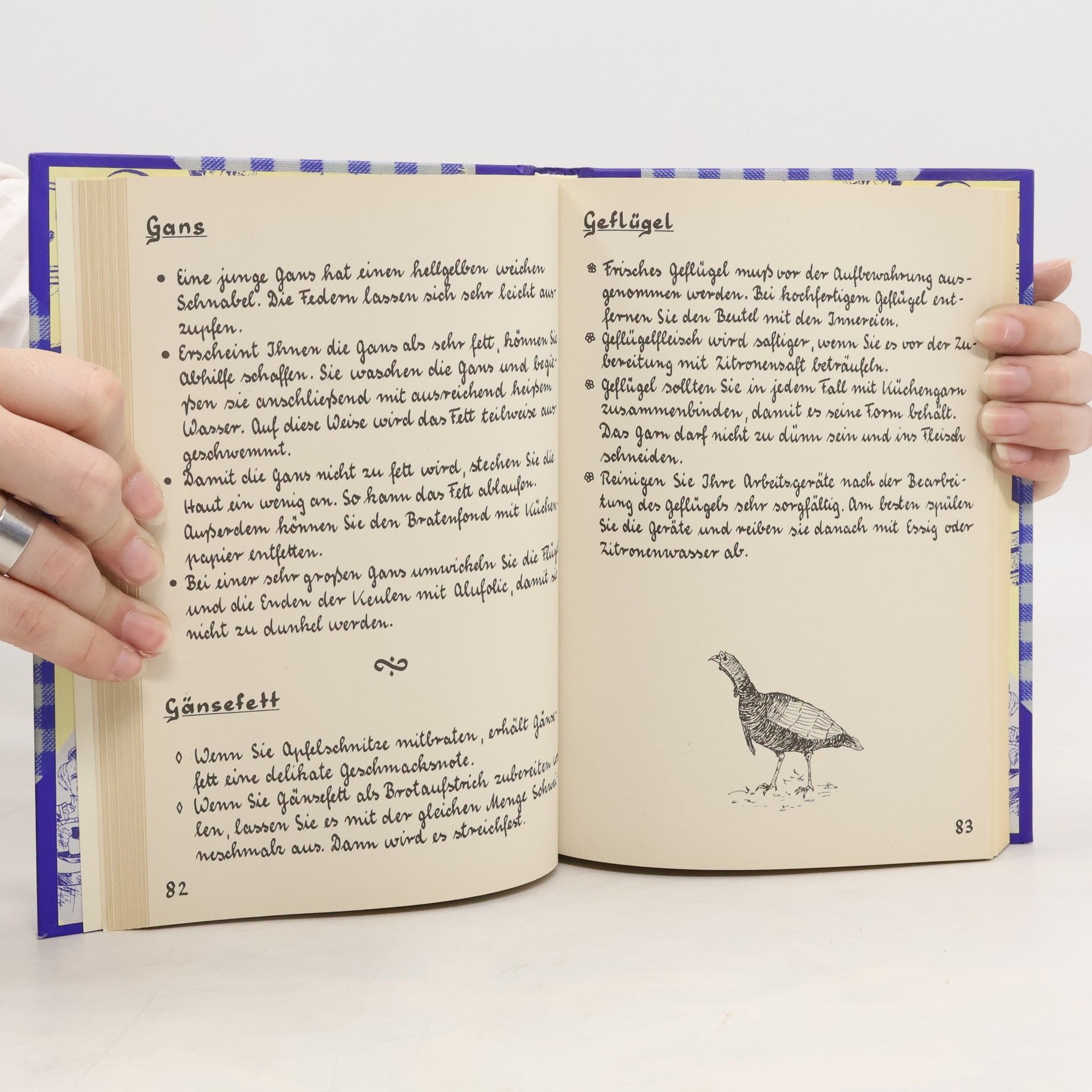 Autorenkollektiv Die besten Haushaltstips aus Annas Erfahrungsschatz