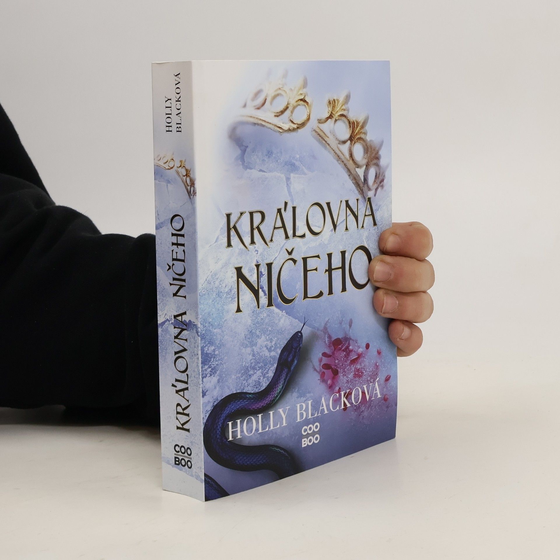 Holly Black Královna ničeho