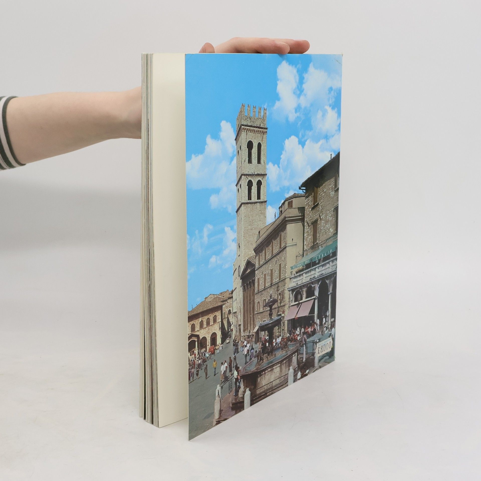 Autorenkollektiv Assisi. Sinn und Deutung