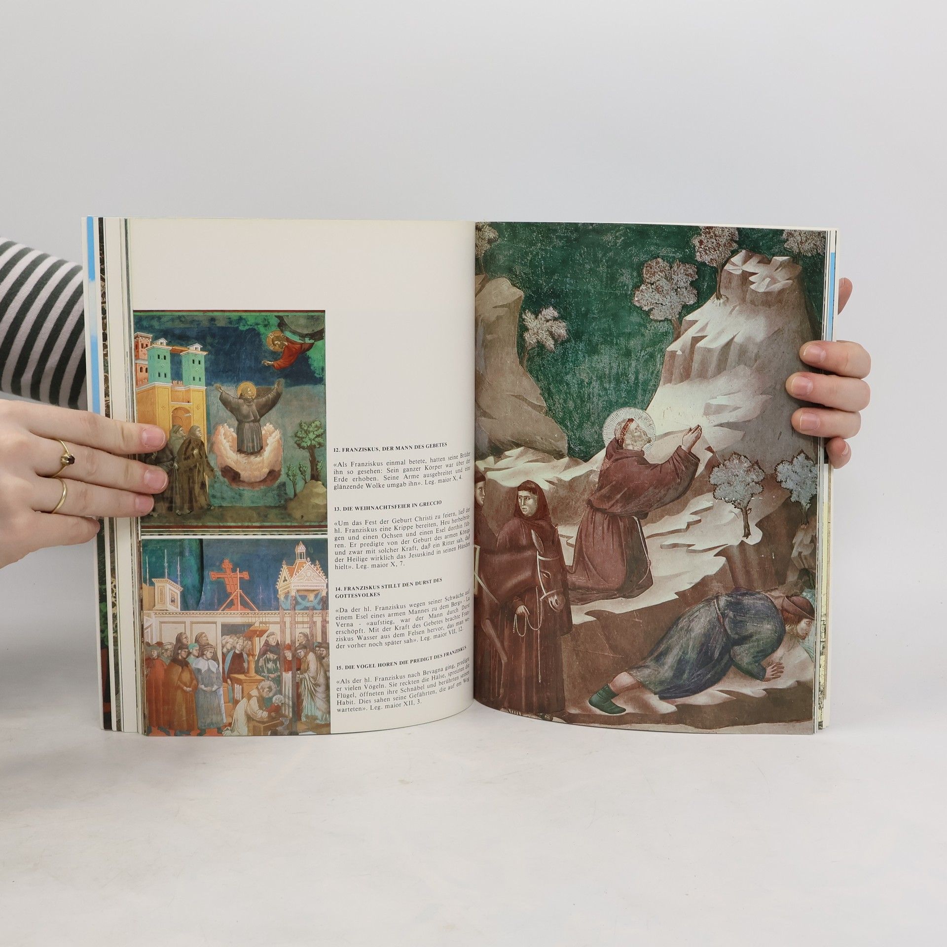 Autorenkollektiv Assisi. Sinn und Deutung