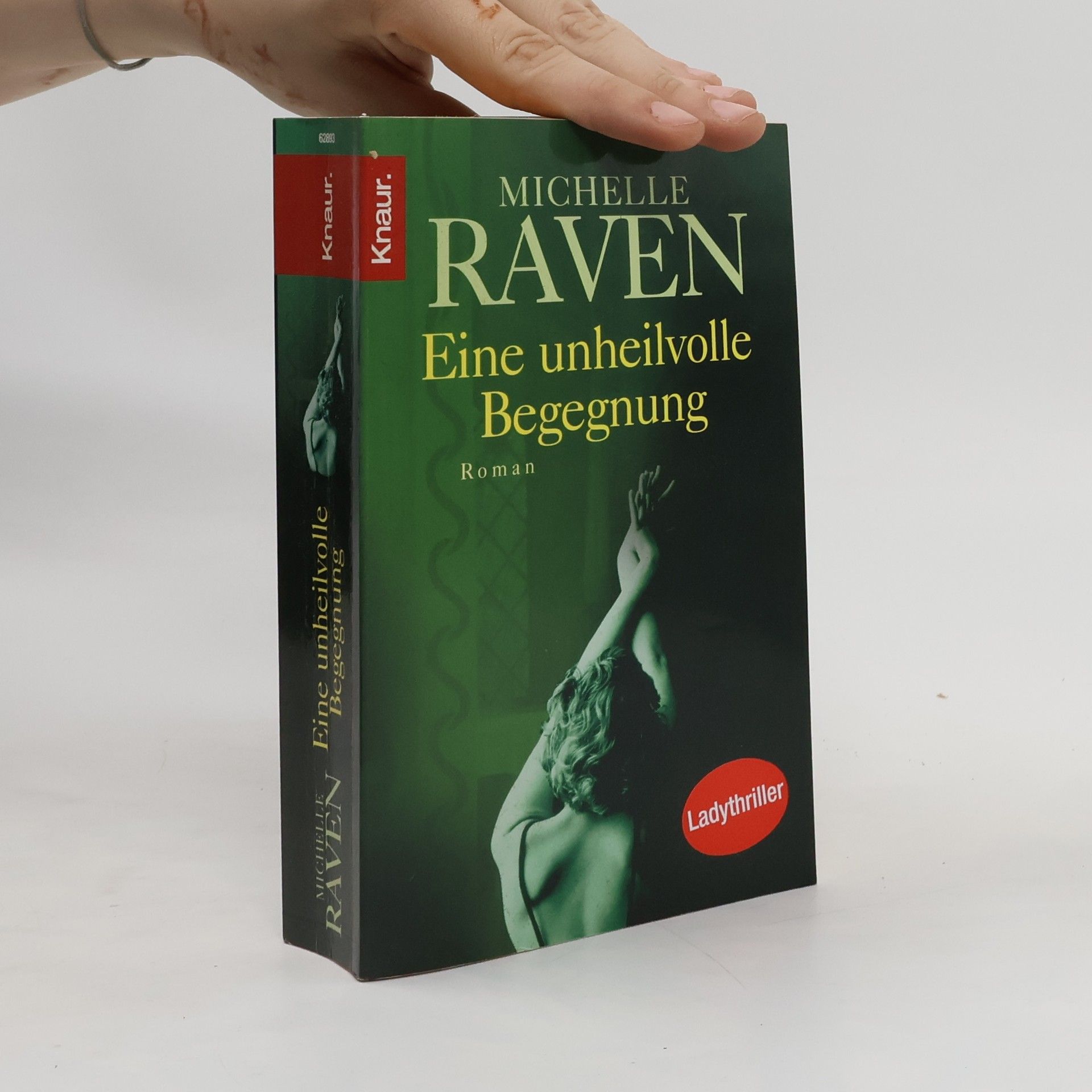 Michelle Raven Eine unheilvolle Begegnung