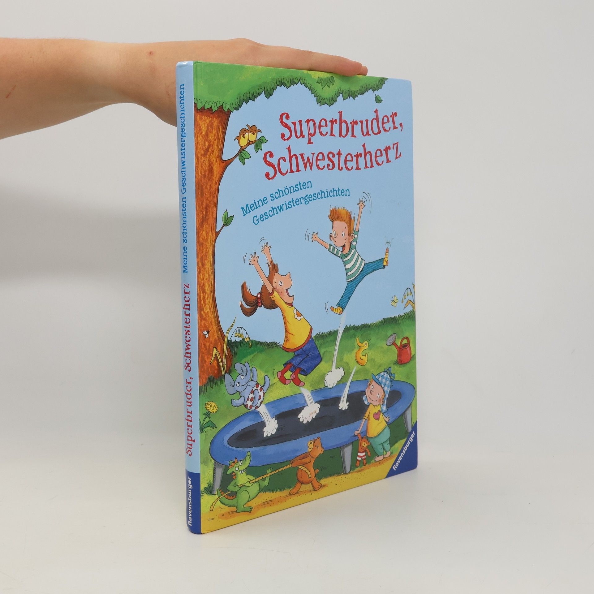 Collectif d'auteurs Superbruder, Schwesterherz