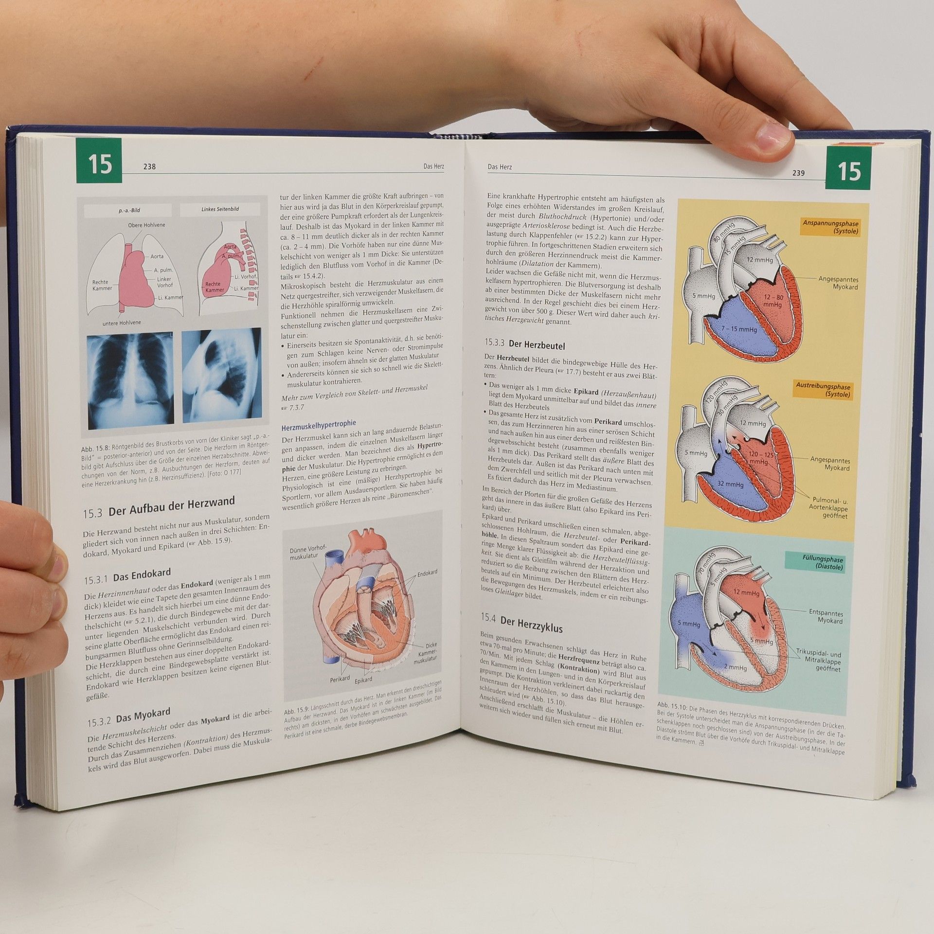 Nicole Menche Biologie, Anatomie, Physiologie