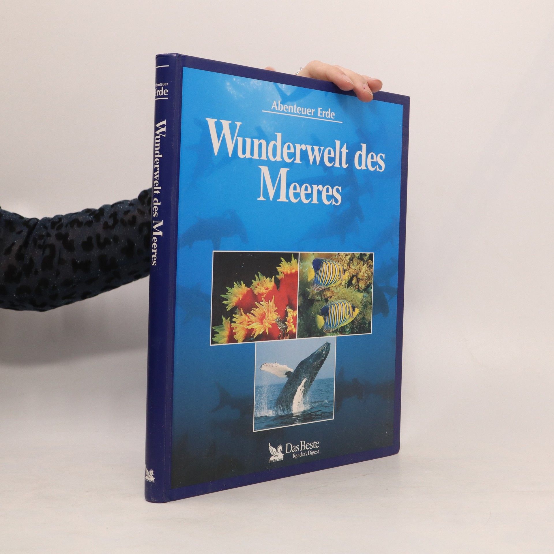 Angela Meder Wunderwelt des Meeres