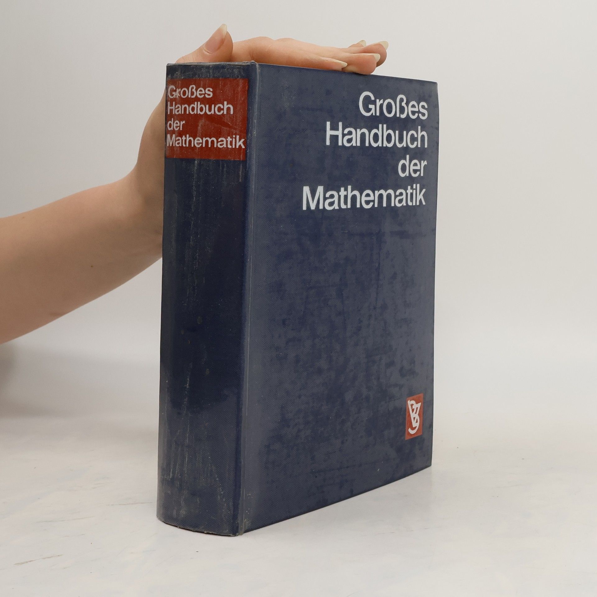 Autorenkollektiv Großes Handbuch der Mathematik