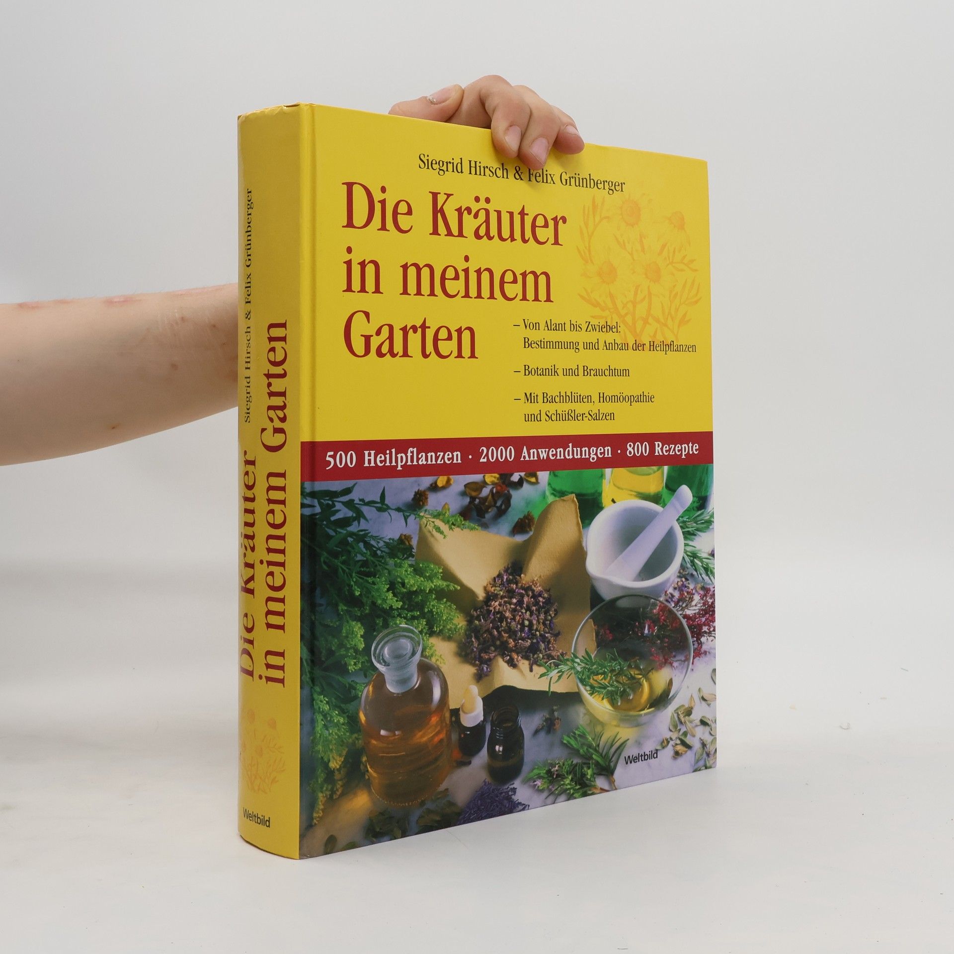 Siegrid Hirsch Die Kräuter in meinem Garten