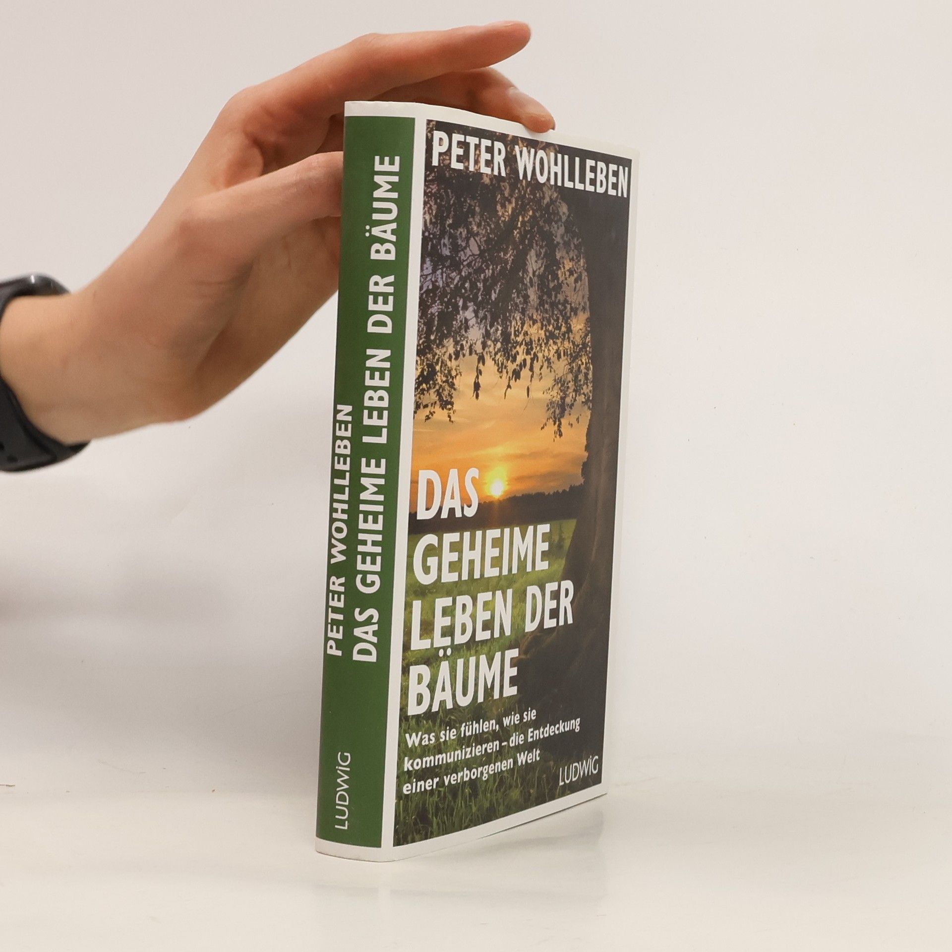 Peter Wohlleben Das geheime Leben der Bäume