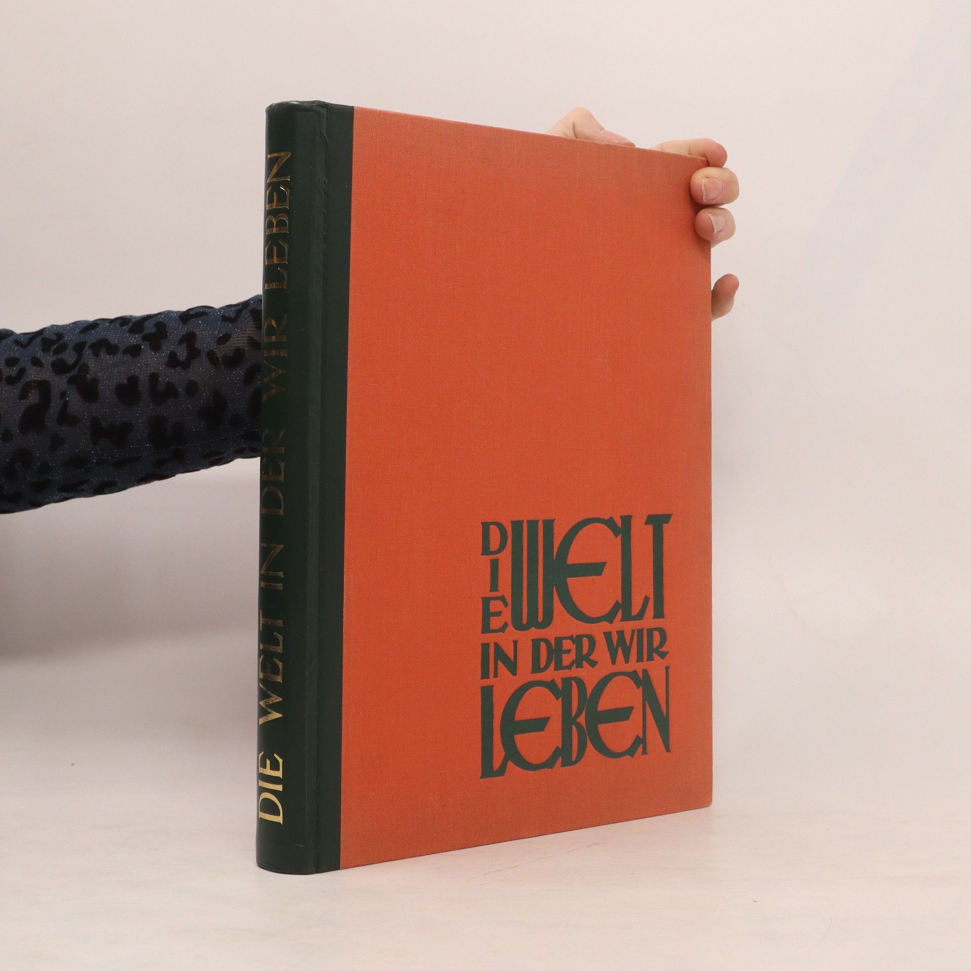 kolektiv Die Welt in der wir leben