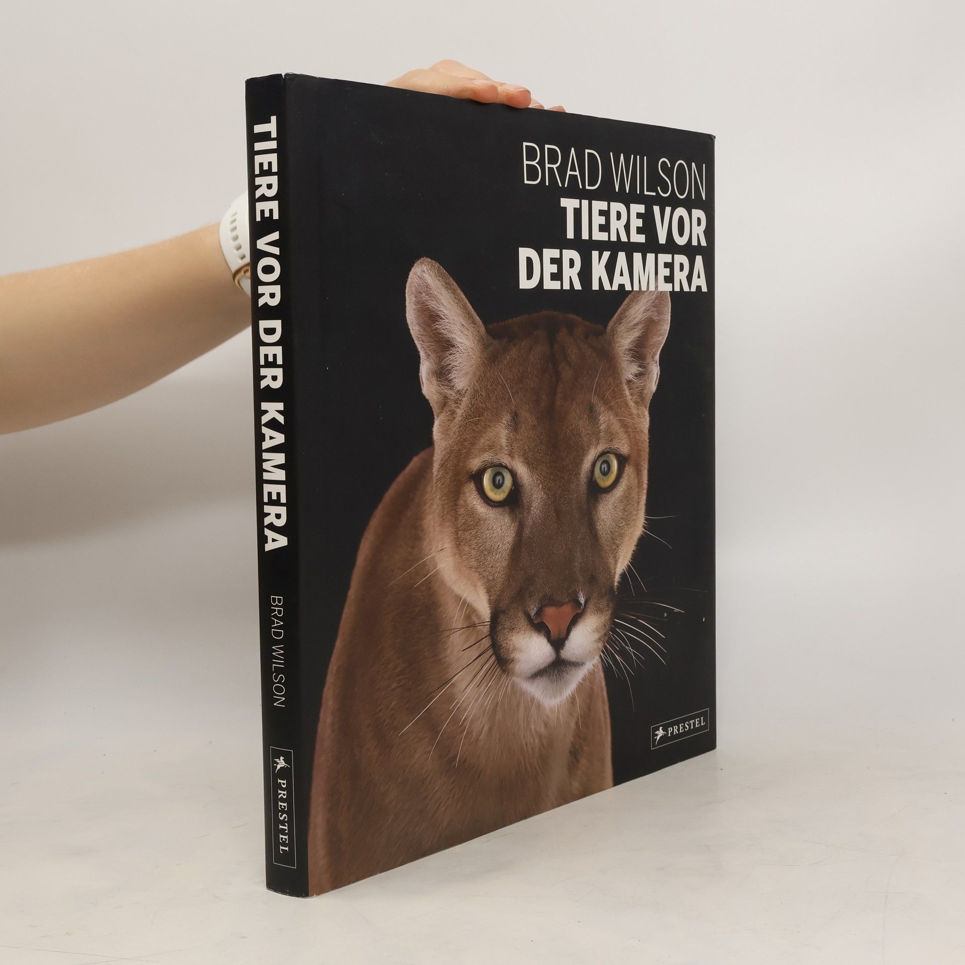 Brad Wilson Tiere vor der Kamera