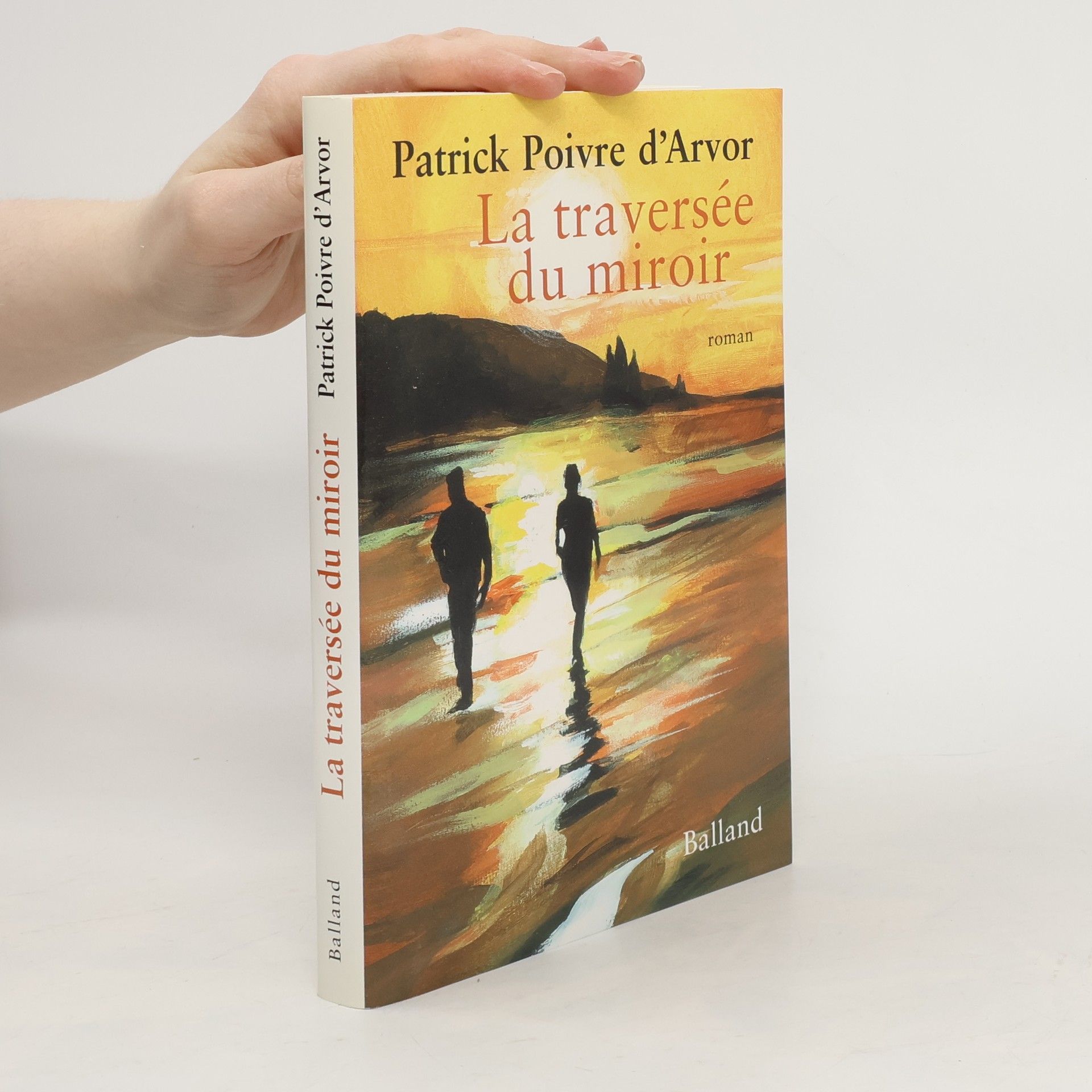 Patrick Poivre d'Arvor La Traversée du miroir