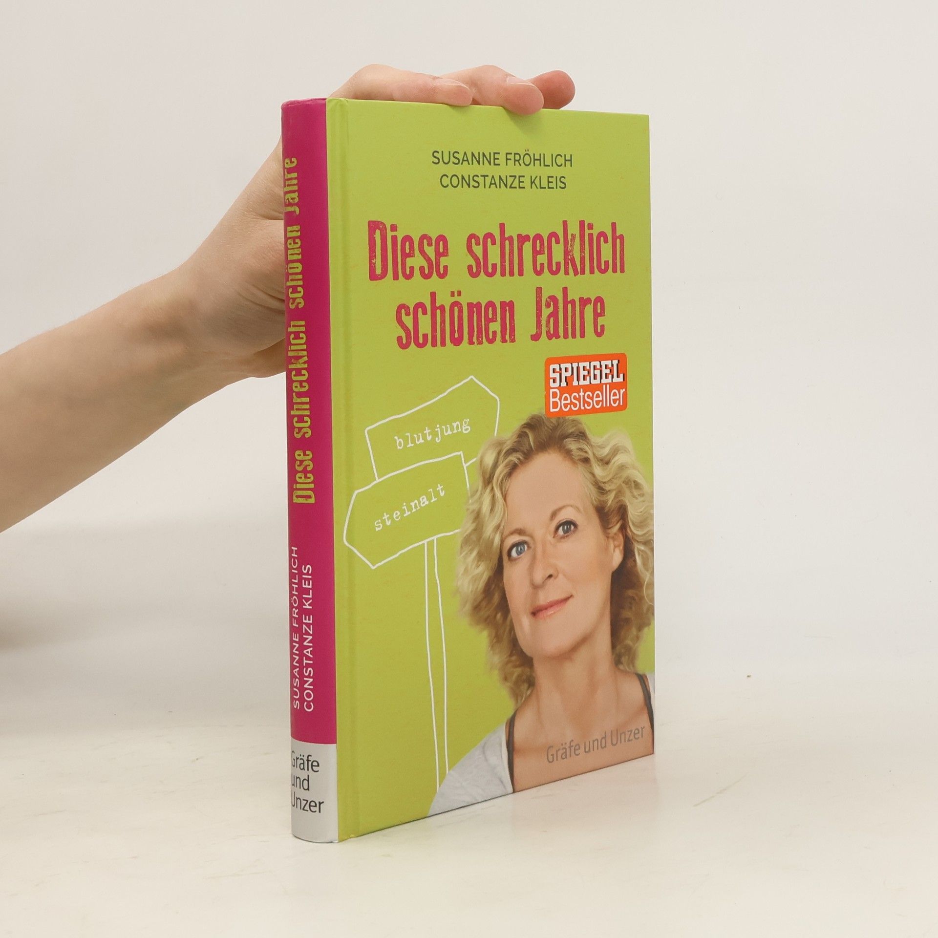 Susanne Fröhlich Diese schrecklich schönen Jahre