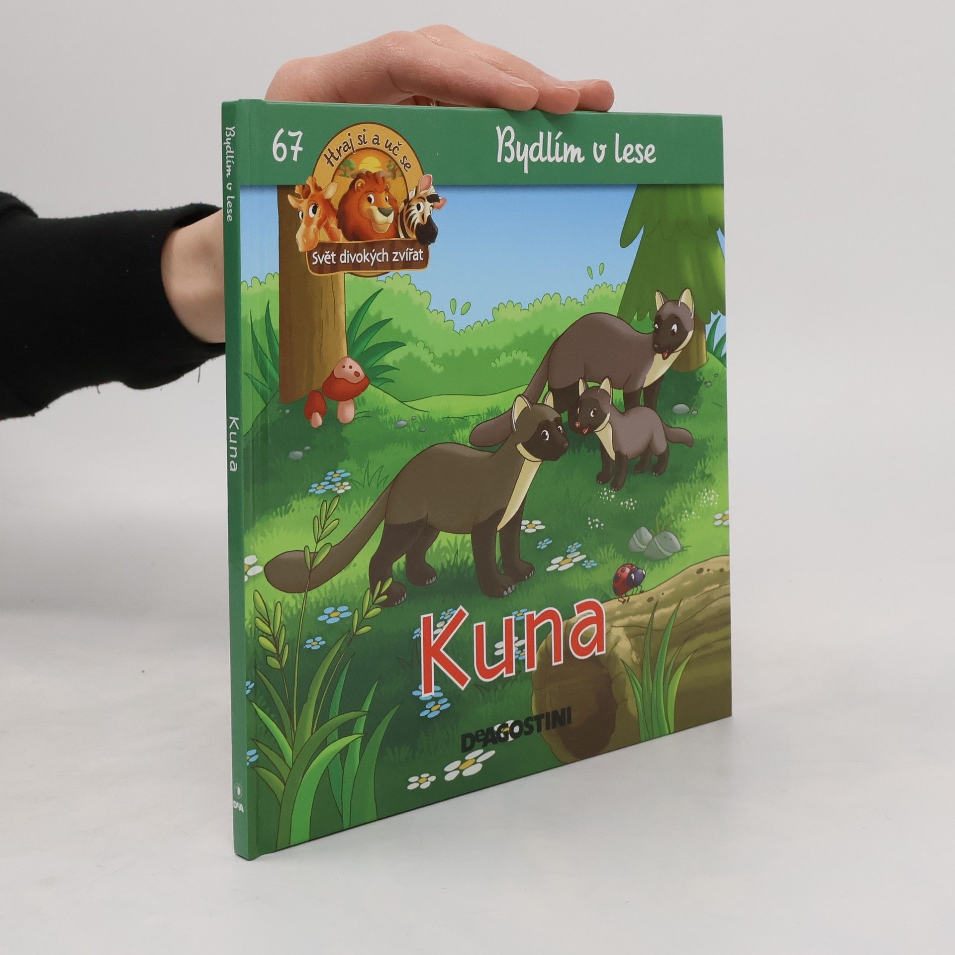 kolektiv Bydlím v lese 67. Kuna