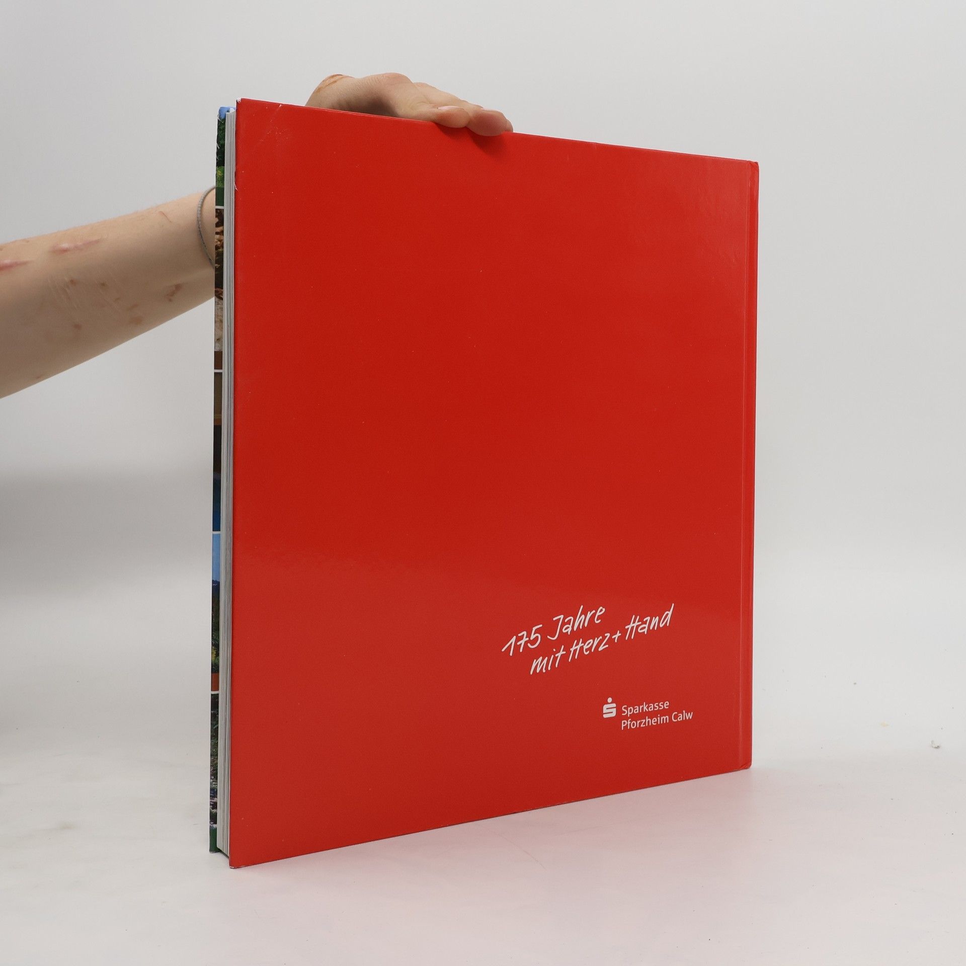 Autorenkollektiv 175 Glanzlichter der Region