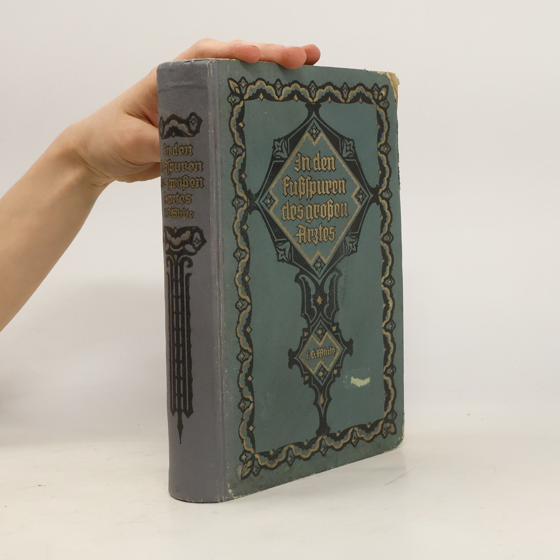Ellen Gould Harmon White In den Fußspuren des großen Arztes