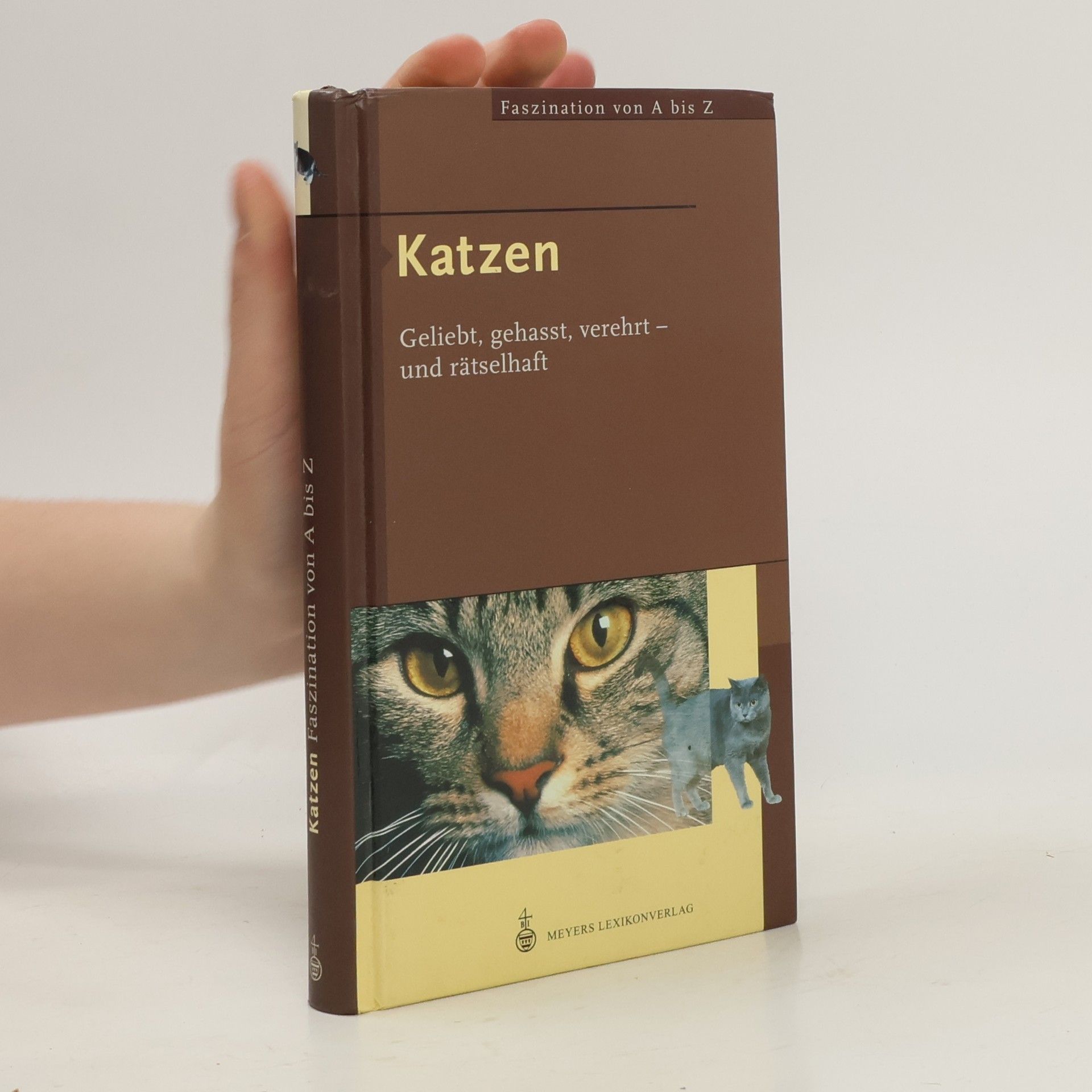 Susanne Bossemeyer Katzen