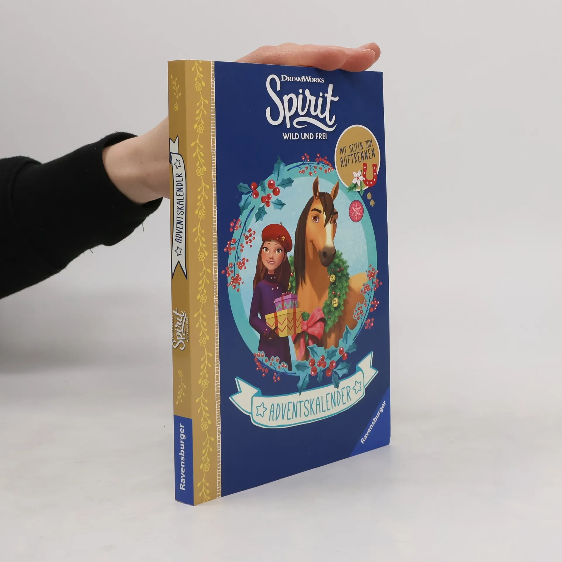 Dreamworks Spirit Wild und Frei. Adventskalender | Buch | kolektiv