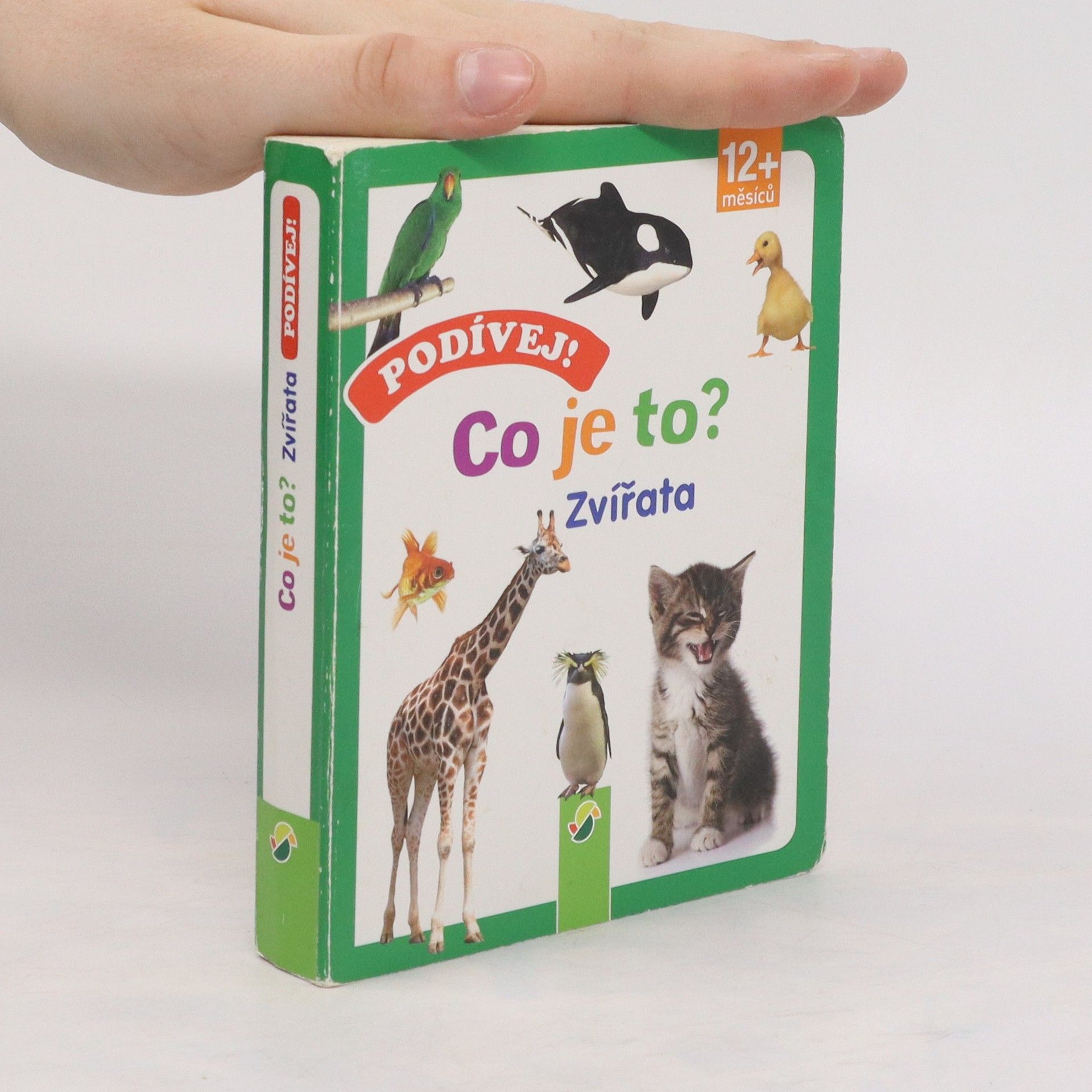 Autorenkollektiv Podívej! Co je to? - Zvířata