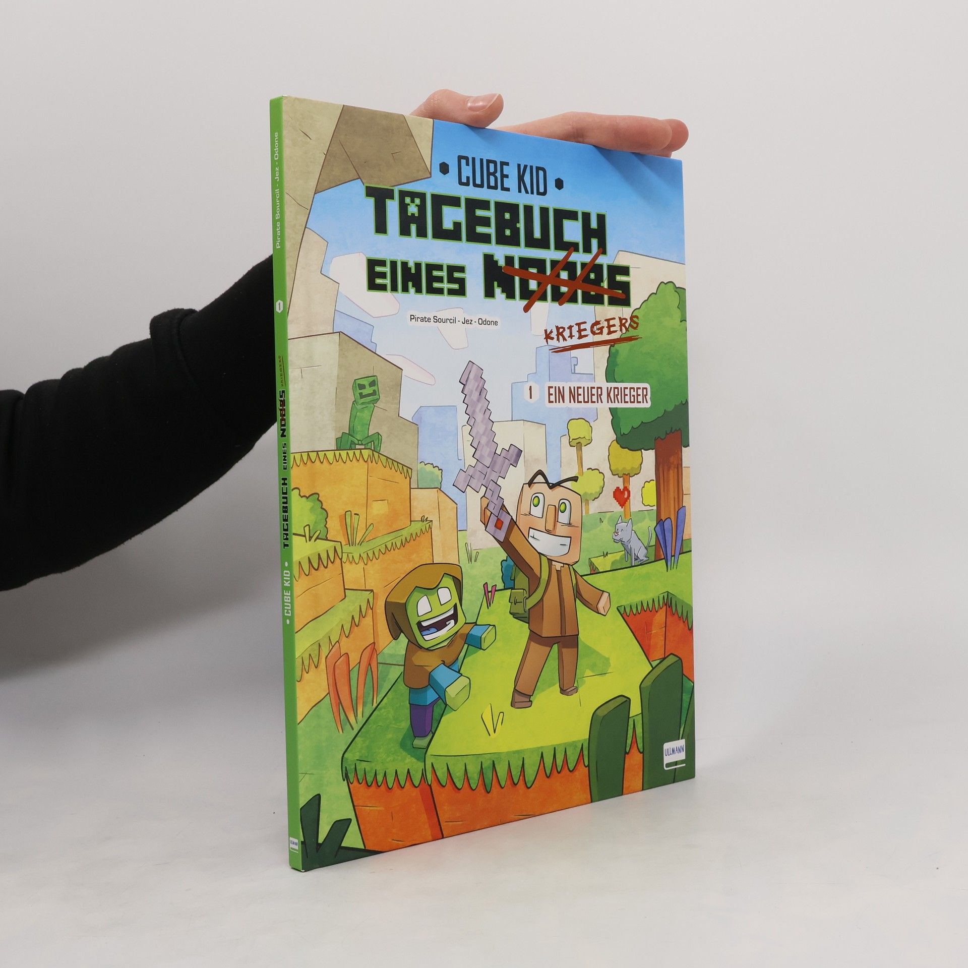 Cube Kid Tagebuch eines Noobs Kriegers