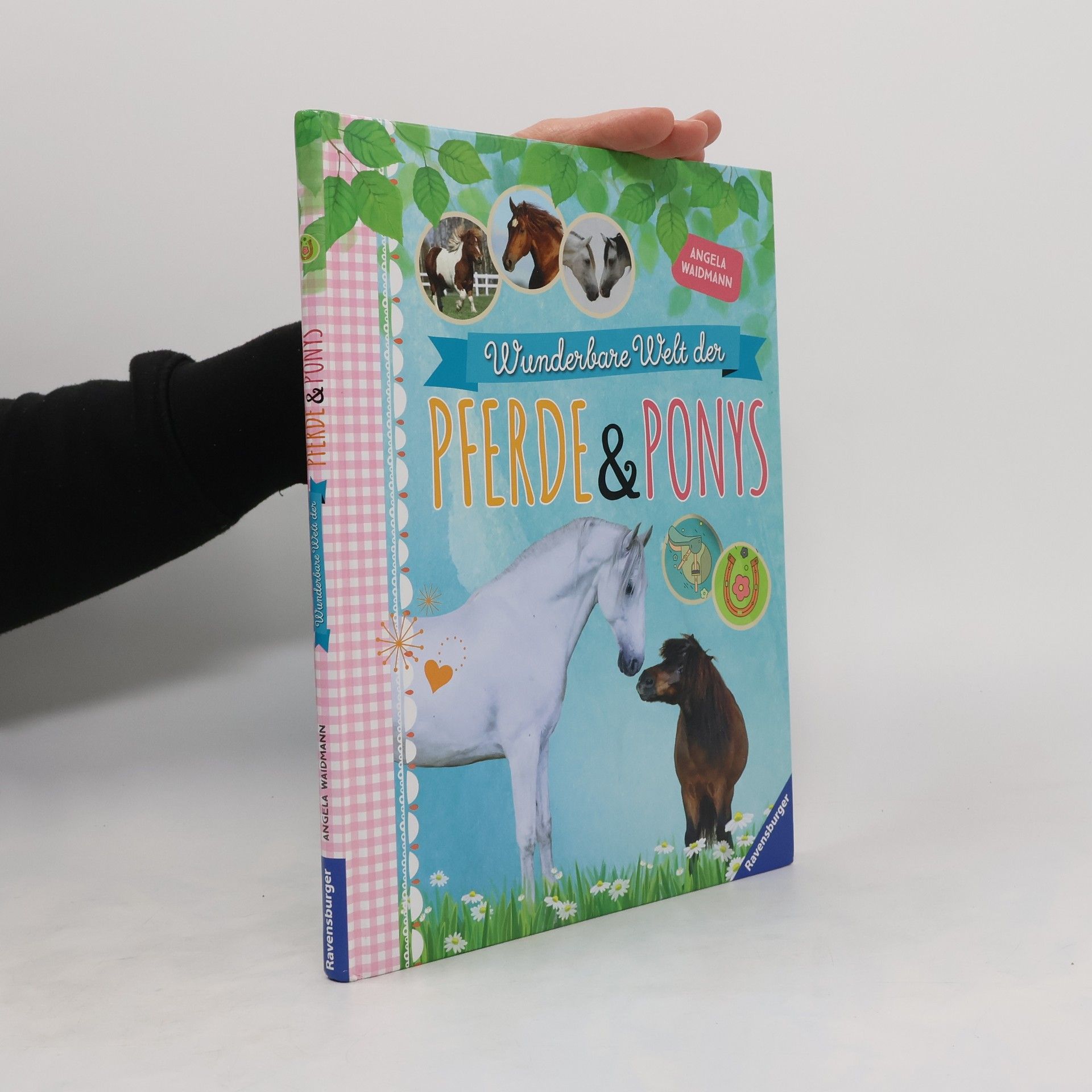Angela Waidmann Wunderbare Welt der Pferde & Ponys