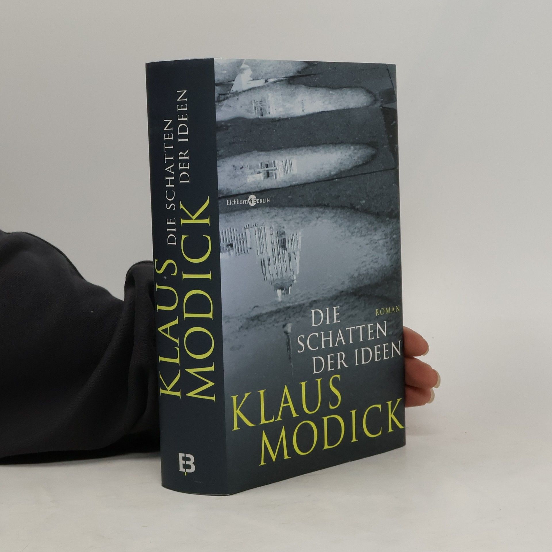 Klaus Modick Die Schatten der Ideen