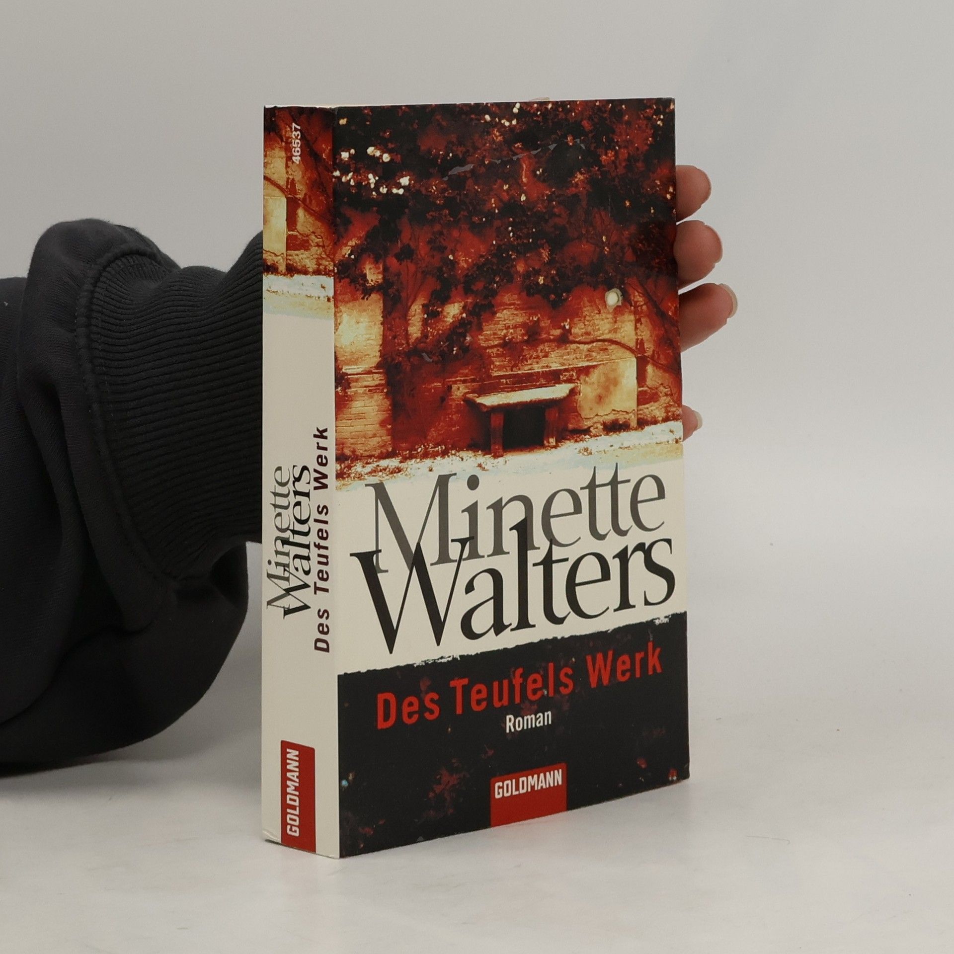 Minette Walter Des Teufels Werk