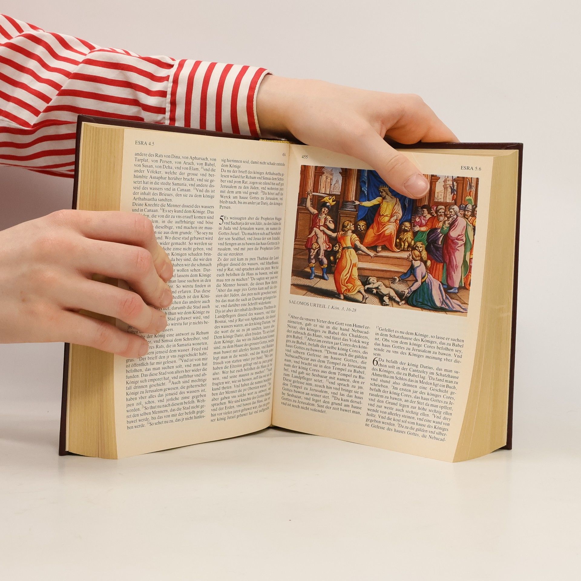Autorenkollektiv Die Bibel
