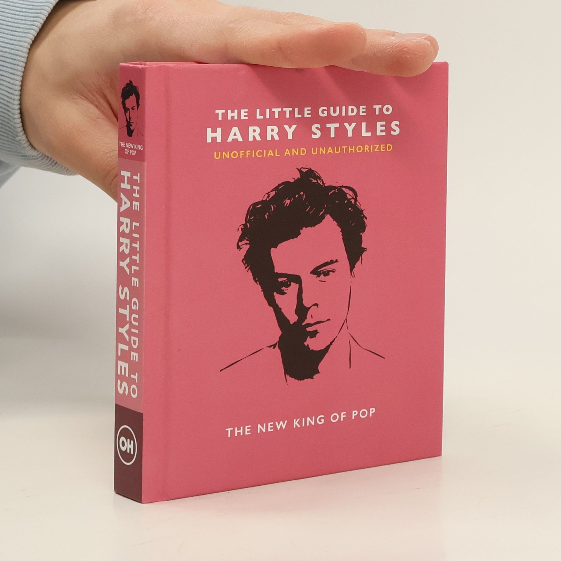 Orange Hippo! The Little Guide to Harry Styles