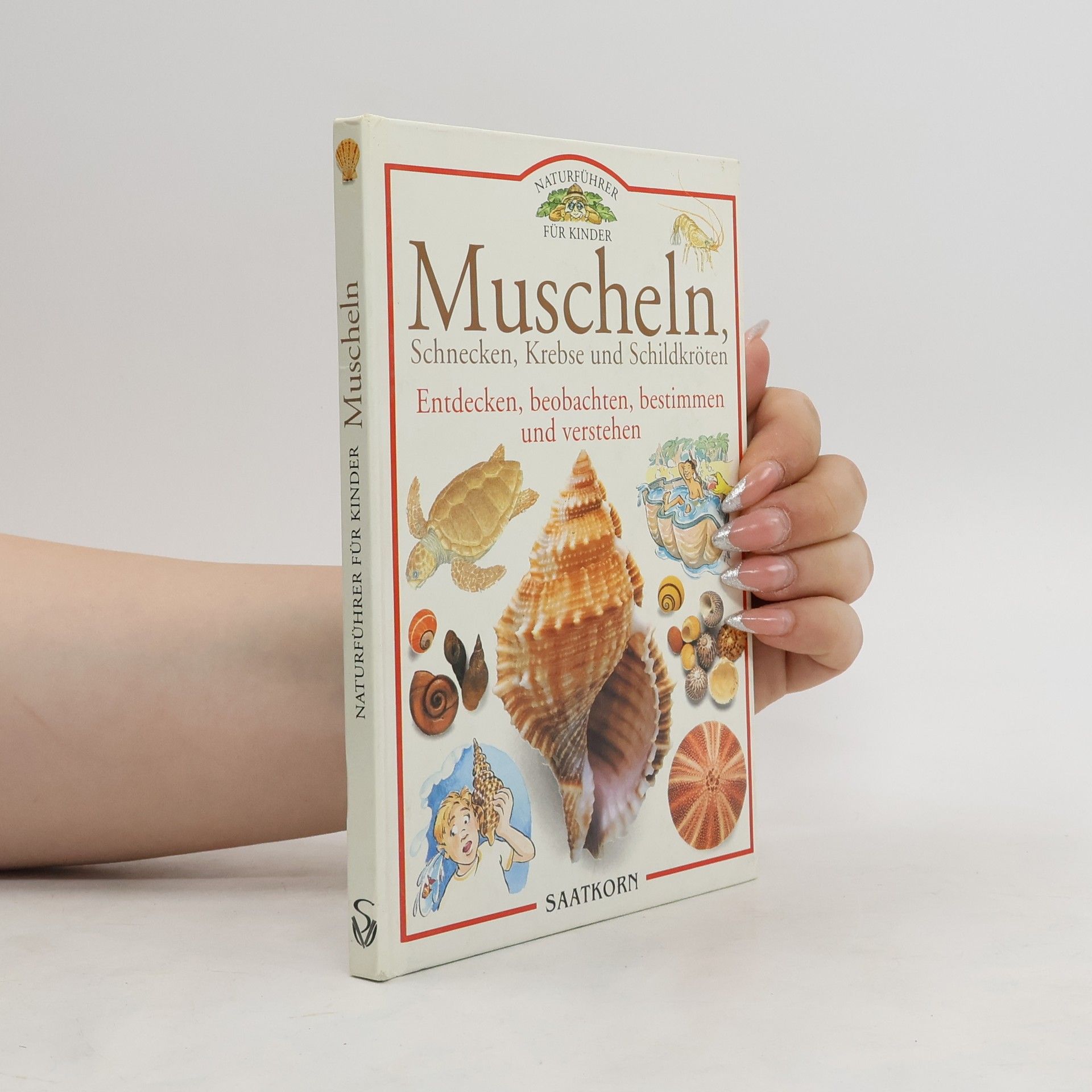 Jennifer Coldrey Muscheln, Schnecken, Krebse und Schildkröten