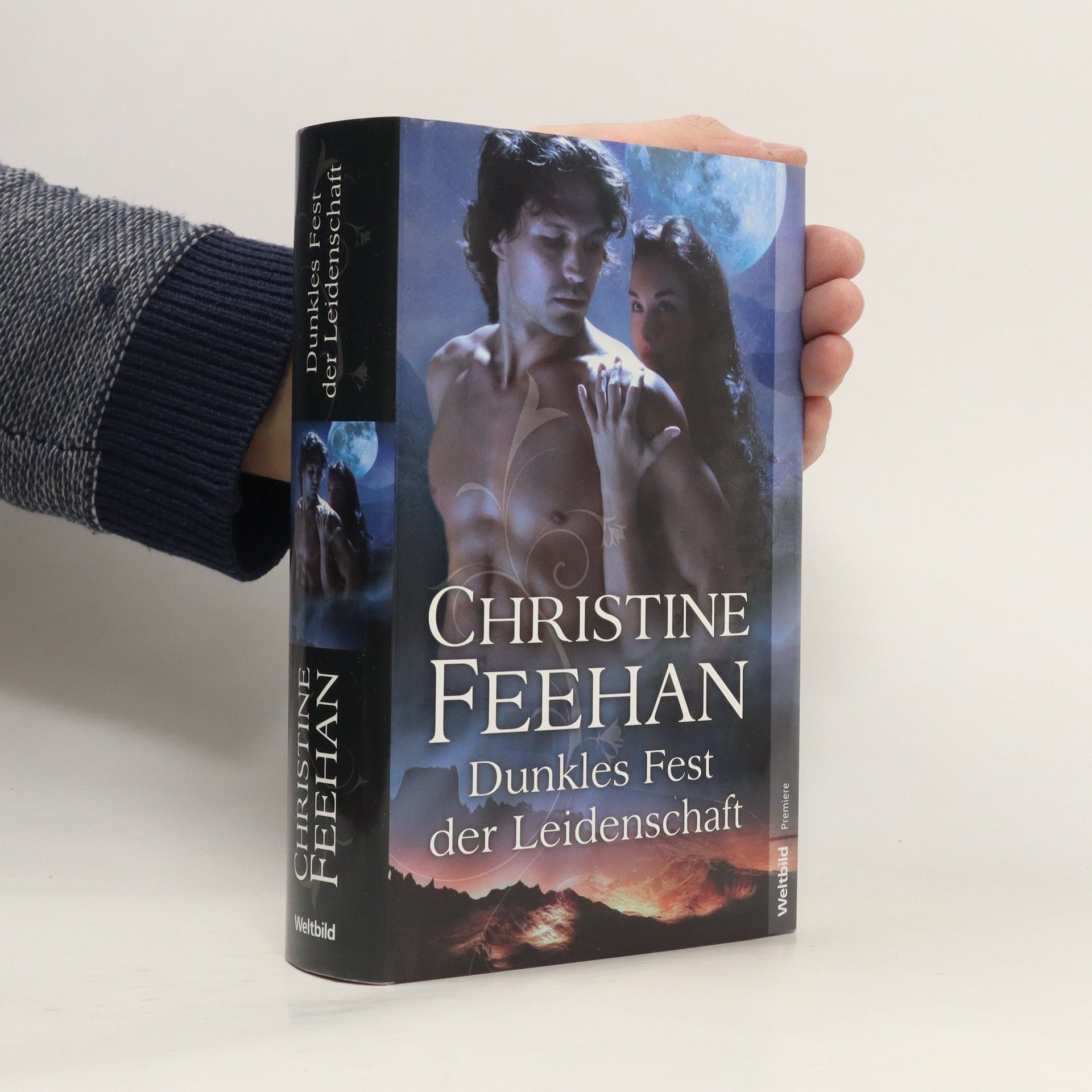 Christine Feehan Dunkles fest der leidenschaft