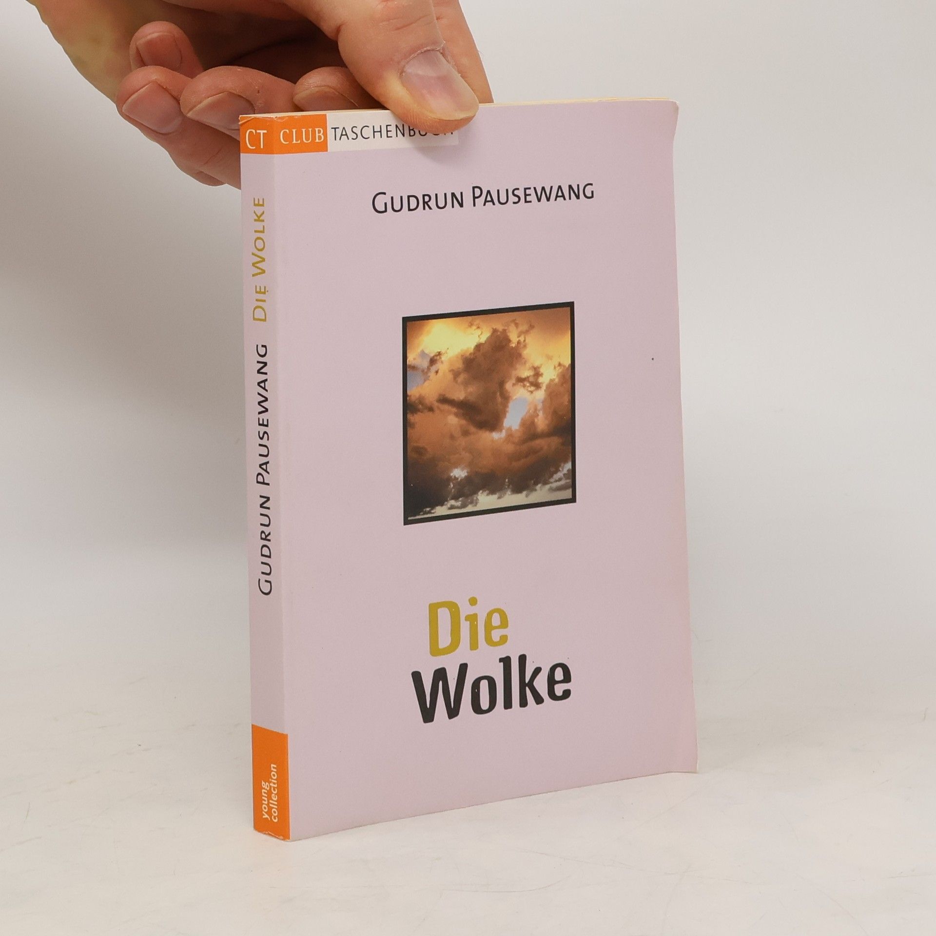 Gudrun Pausewang Die Wolke