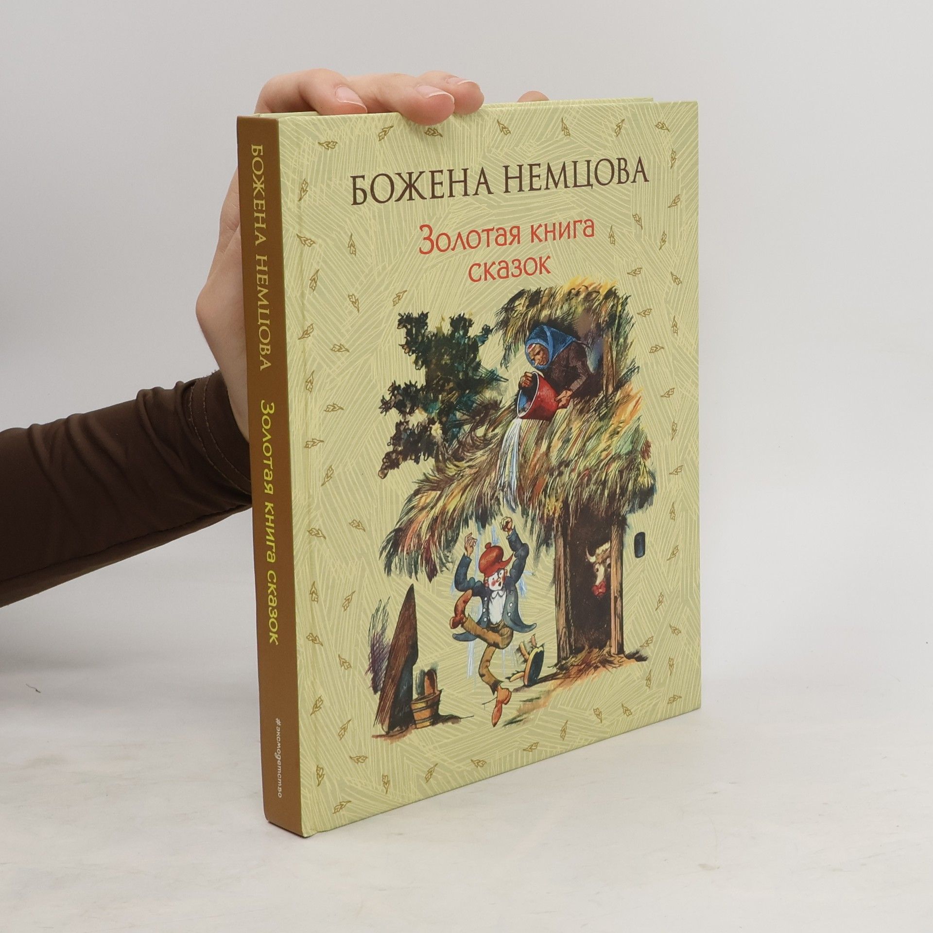 Božena Němcová Золотая книга сказок(Zolotaya kniga skazok)
