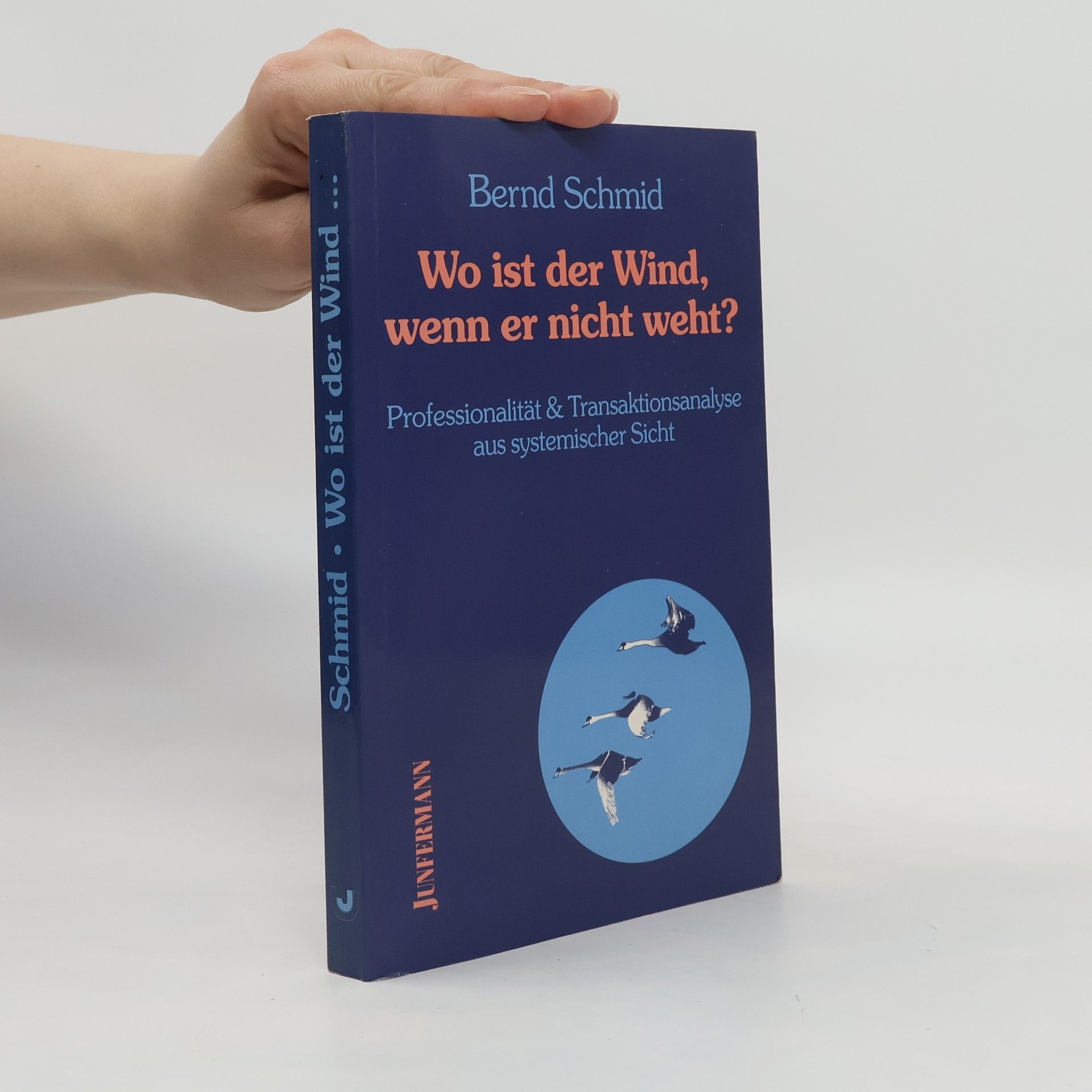 Bernd Schmid Wo ist der Wind, wenn er nicht weht?