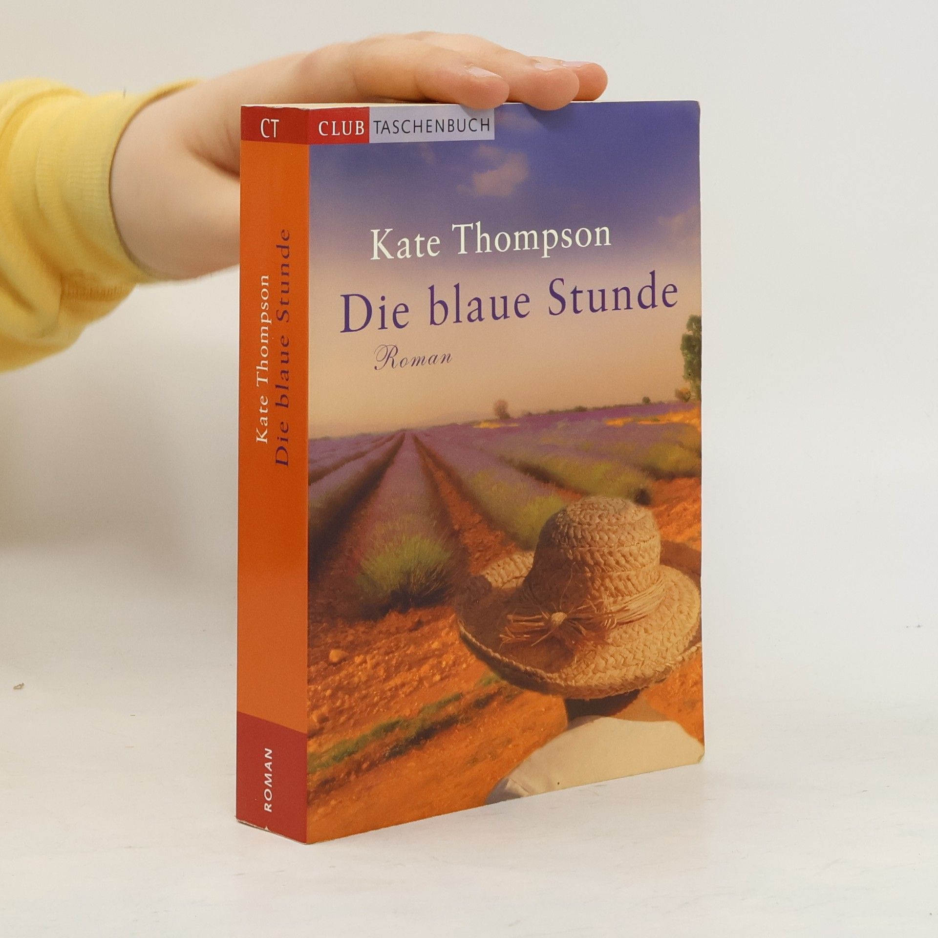 Kate Thompson Die blaue Stunde
