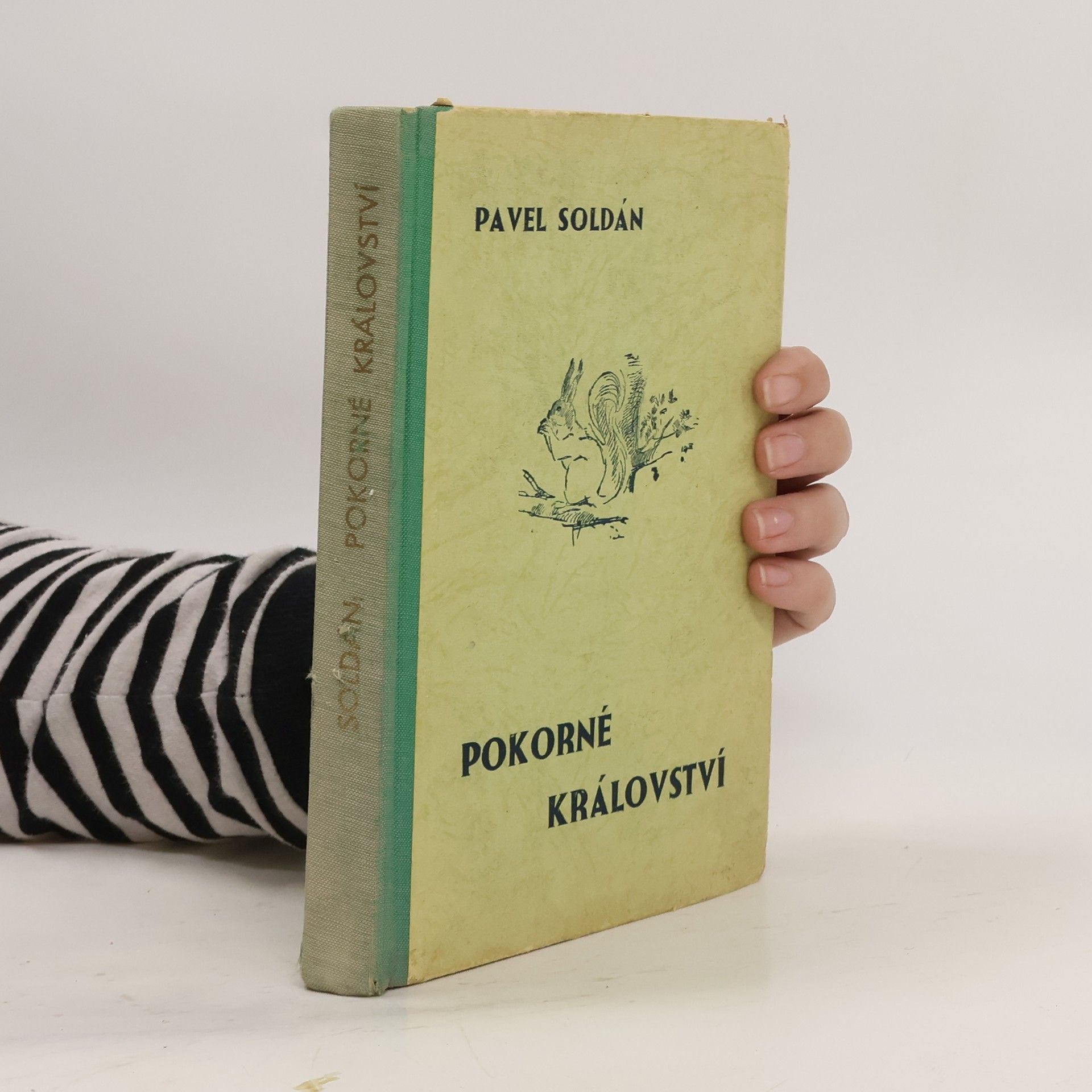 Pavel Soldán Pokorné království