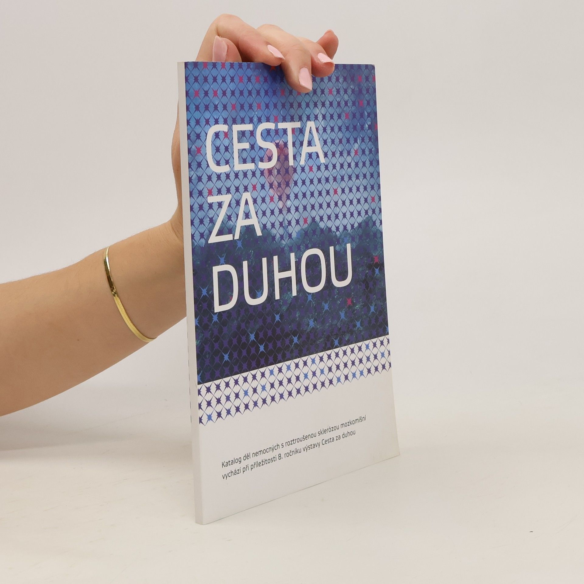 Kolektív autorov Cesta za duhou