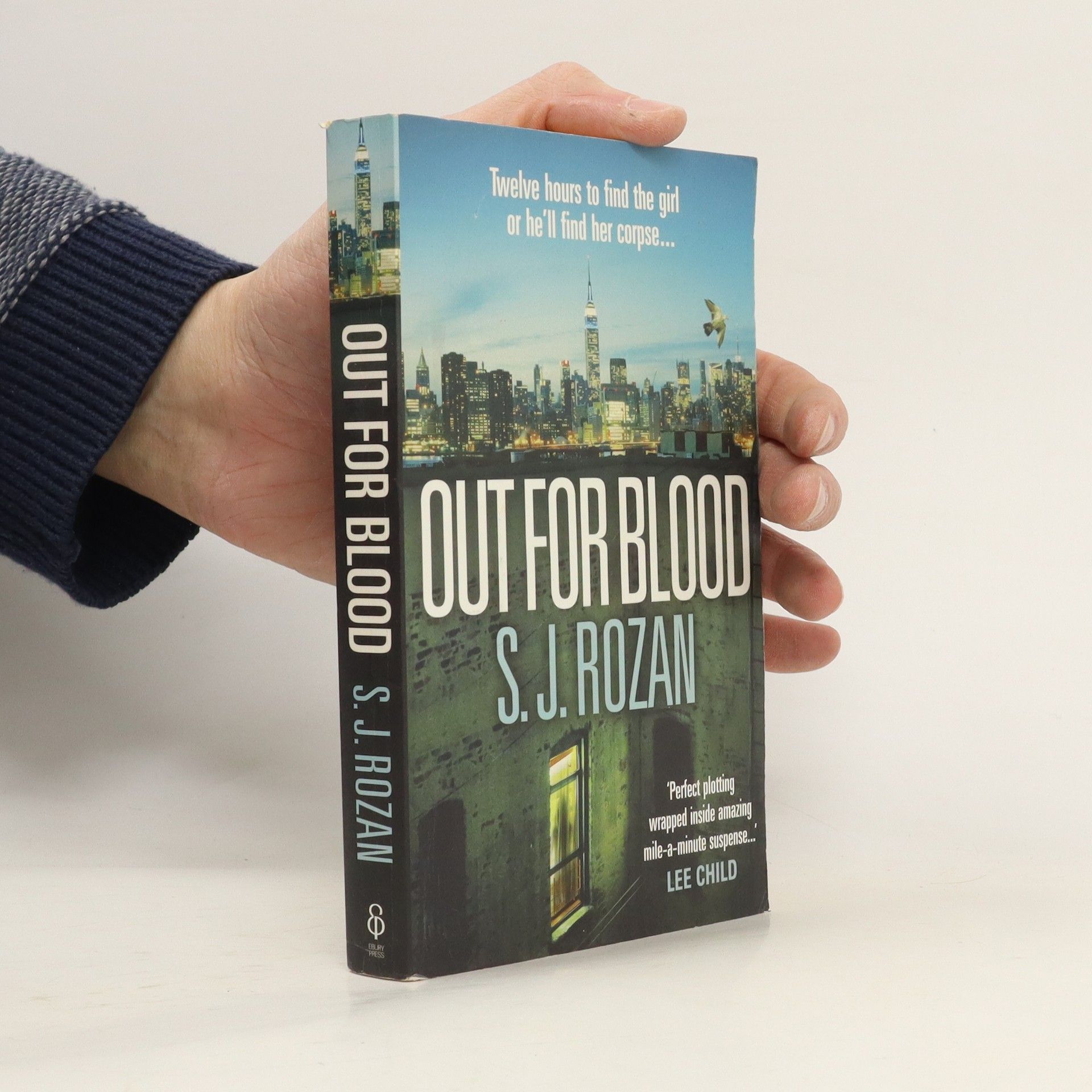 S. J. Rozan Out For Blood