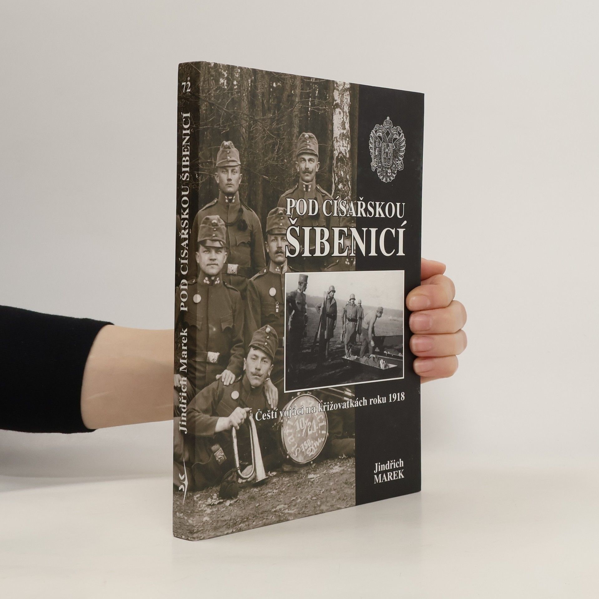 Collective Pod císařskou šibenicí : čeští vojáci na křižovatkách roku 1918