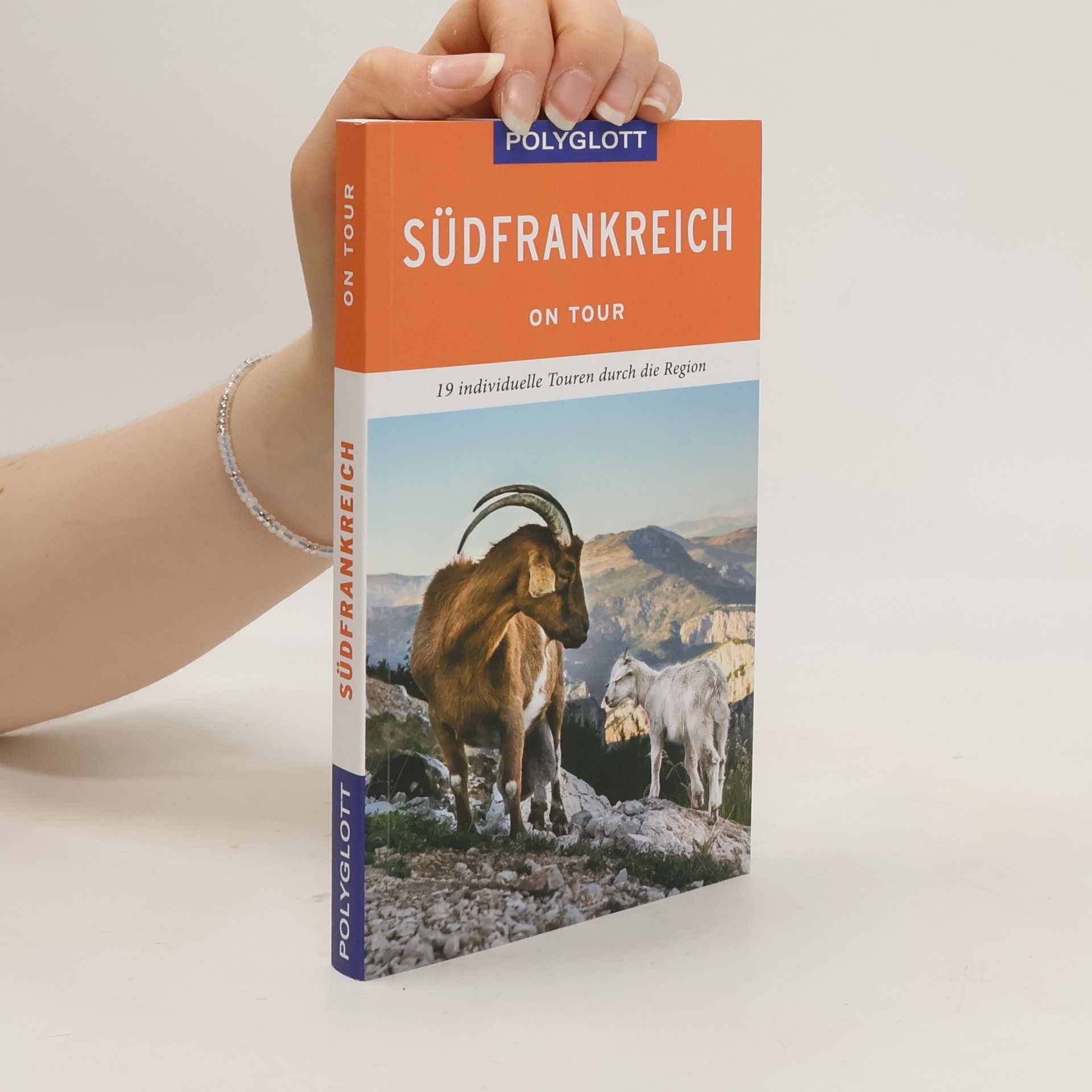 Manfred Braunger Südfrankreich on tour